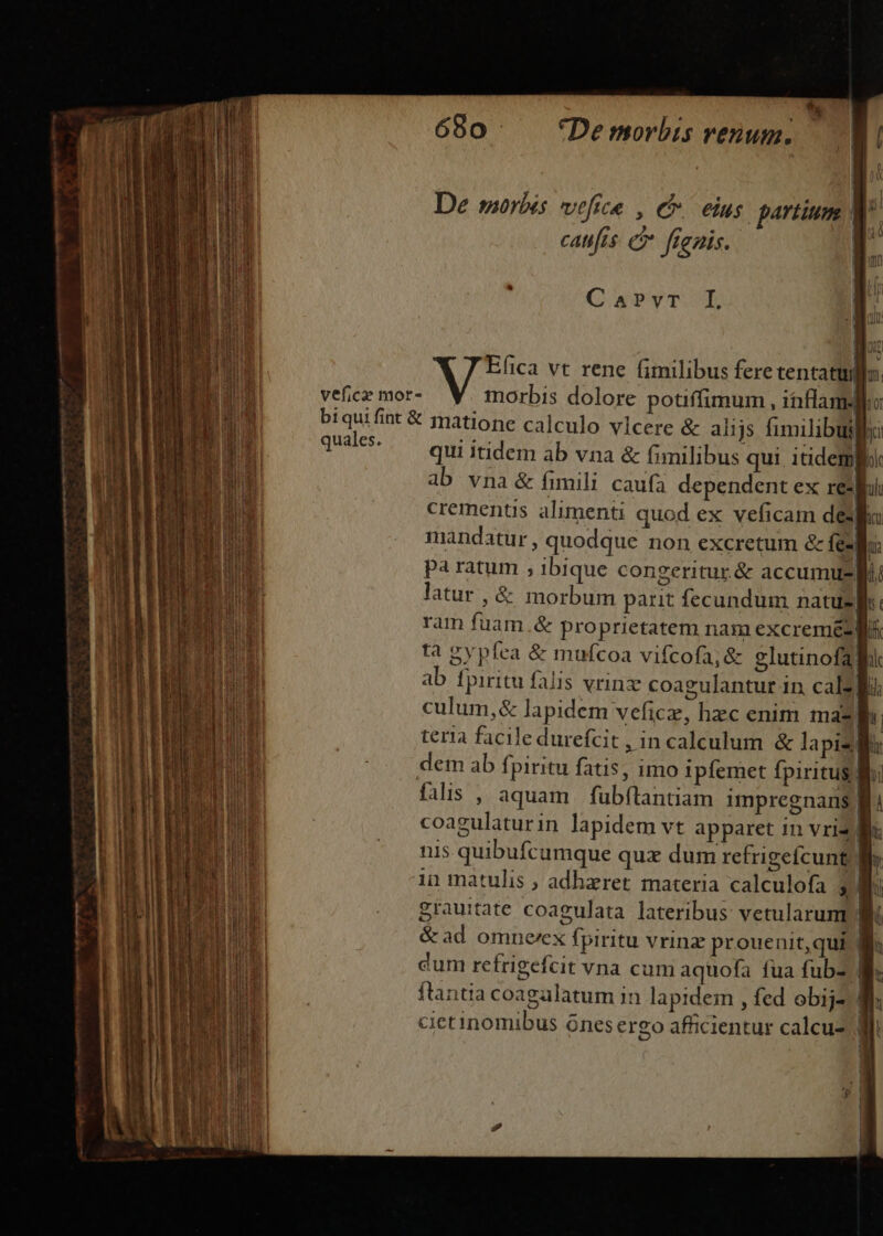 De morbis vefice , c eius partium | cat[is. e fignis. CaPvT. T ME Efica vt rene fimilibus feretentatulj veficz mor- NU dolore potiffimum , inflamdgiu biquifint &amp; matione calculo vlcere &amp; ali js fimilibuill td qui itidem ab vna &amp; fimilibus qui. itidem ab vna &amp; fimili caufa dependent ex resi cremenus alimenti quod ex veficam deii mandatur , quodque non excretum &amp; feda pa ratum ; ibique congeritur &amp; accumue Bi latur, &amp; morbum parit fecundum natuzl ram fuam.&amp; proprietatem nam excremes/ tà gypfea &amp; mufcoa vifcofa;&amp; eglutinofali ab fpiritu falis vrinz coagulantur in cal2 li culum,&amp; lapidem veficze, hzc enim mas I teria facile durefcit, in calculum &amp; lapiz gu dem ab fpiritu fatis, imo ipfemet fpiritus Bi falis , aquam füubítantiam impregnans | coagulaturin lapidem vt apparet in vriz Wu nis quibufcumque qux dum refrigefcunt; ll in matulis ; adhaeret materia calculofa ; Wo grauitate coagulata lateribus: vetularum Bi &amp;ad omneex fpiritu vrina prouenit, qui : | cum refrigefcit vna cum aquofa fua fub- LE ftantia coagalatum in lapidem , fed obijz n ciet inomibus ónesergo afficientur calcu- Ml: