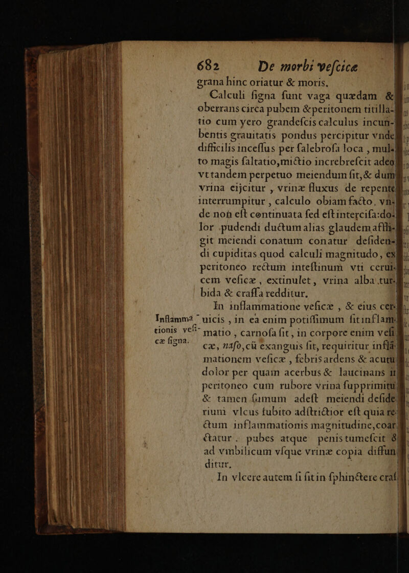 erana hinc oriatur &amp; moris, Calculi figna funt vaga quxdam &amp;! oberrans circa à pubem &amp;peritonem titilla-| tio cum yero grandefcis calculus incun- bentis grauitatis pondus percipitur vnde! ders inceflus per falebrofa loca , mul«| to magis faltatio,mictio acerbi adeo] vt inde perpetuo meiendum fit, &amp; dum| vrina eijcitur , vrinz fluxus. de repente] | interrumpitur , calculo obiam facto, vni de noh eft centinuata fed eftintercifa:dos lor .pudendi du&amp;umalias glaudemaflli- B; eit meiendi conatum conatur defideu- B. di cupiditas quod calculi magnitudo , exi. peritoneo rectum inteftinum vti cerur cem vefice , extinulet, vrina alba tur.j k bida &amp; ius redditur. B. in inflammatione vefice , &amp; eius cer Inflamm? ^ nicis , in ea enim potiffimum fitinflam: tionis. Y€^ matio | carnofafit , in corpore enim vef] cs fign os nafo, cü exanguis fit, requiritur infla] mationem veficz , febrisardens &amp; acutu li dolor per quam acerbus laucinans it; peritoneo. cum rubore vrina fupprimitu] |. &amp; tamen fumum adeít meiendi defide) rium. vlcus fubito adí(tri&amp;ior eft quia re. &amp;um i1nflammationis magnitudine, coat; | &amp;atur. pubes atque penis tumefcit 8| ad vimbilicum víque vrinz copia diffun| ditur. In vlcere autem fi (itin fphin&amp;ere craf