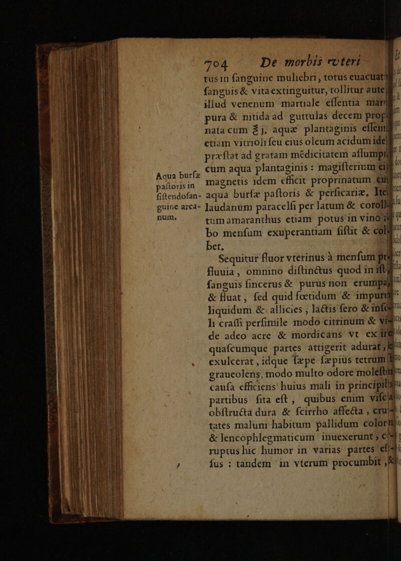 tusin fanguine inuliebri , totus euacuatjf fanguis&amp; vitaextinguitur, tollitur aute| h ilud venenum marüale eflentia mar js pura &amp; nitidaad guttulas decem prop$ natacum $j. aque plantaginis effent) r ctiam vitriohifeu eius oleum acidum ide praftat ad gratam médicitatem aflumpt / Acus bufg CU aqua plantaginis : magifterium eij T pafonisin Tüagnetis idem efficit proprinatum ul l fitendofan- aqua burfz paftoris &amp; perficariz, Ite [ guine arcá- Jaudanum paracelfi per atum &amp; coroll iu nns tüimamaranthus etiam potus in Vino a bo menfum exuperantiam fiflit &amp; col Kat bet, pho Sequitur fluor vteritius à menfur pre i fluuia, omnino diftin&amp;us quod in it fanguis fincerus &amp; purus non erumpas i &amp; fluat, fed quid focendum &amp; impurj ir liquidum &amp;- allicies , láétis fero &amp; infi? Ii craffi perfimile modo citrinum &amp; vig de adeo acre &amp; mordicans vt ex ing^ quafcumque partes attigerit adurat ; du exulcerat , idque Íxpe fzpius tetrum eraueolens, modo multo odore moleftit: caufa efficiens! huius mali in principili | p. ü (i artibus fita eft ,' quibus enim vifeidl obftru&amp;a dura &amp; fcirrho affe&amp;a , crus tates malum habitum pallidum colori n &amp; lencophlegmaticum inuexerunt; c4 ruptushic humor in varias partes efi4i fus : tandem  in vterum procumbit ,X T TO CE v-— Te-9— - ' nm M pii Ramo e VR 9 su e —— ám pem : 0 h p IN