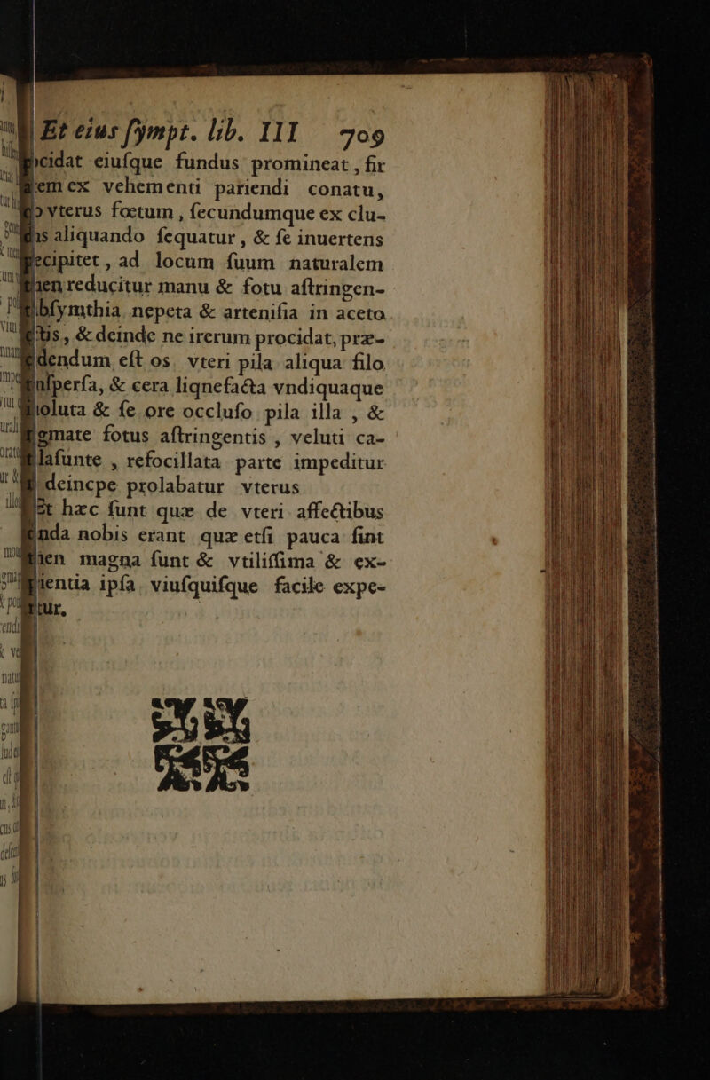 licidat eiufque fundus promineat , fir Memex vehement pariendi conatu, | b yterus foctum , fecundumque ex clu- Wis aliquando fequatur , &amp; fe inuertens lecipitet, ad. locum fuum naturalem lien reducitur manu &amp; fotu aftringen- Wibfymthia. nepeta &amp; artenifia in aceto Mis, &amp; deinde ne irerum procidat, prz- iBdendum eft os. vteri pila. aliqua filo lalperfa, &amp; cera liqnefacta vndiquaque lioluta &amp; fe ore occlufo pila illa , &amp; Igmate fotus aflringentis , veluti ca- - Wlafunte , refocillata parte impeditur Bi deincpe prolabatur vterus B3 hzc funt que de vteri- affe&amp;tibus inda nobis erant quz etfi pauca fint