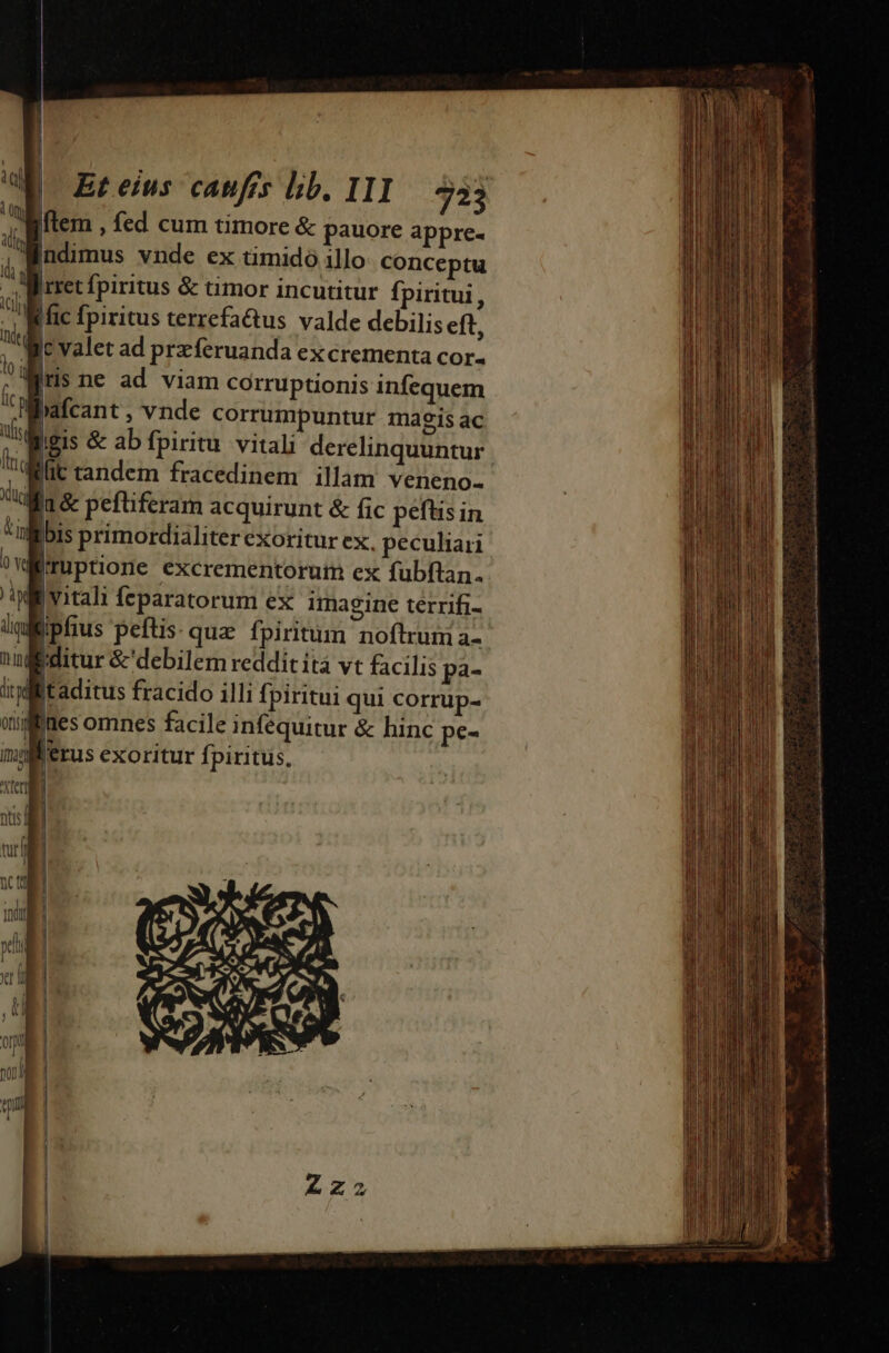 Iris ne ad viam corruptionis infequem bafcant , vnde corrumpuntur magis ac gis &amp; ab fpiritu. vitali derelinquuntur Ilit tandem fracedinem illam veneno- Wa&amp; peftiferam acquirunt &amp; fic peftisin ibis prímordialiter exoritur ex. peculiari l'ruptione excrementorum ex fubftan. | ; vitali Íeparatorum ex imagine terrifi- Wipfius peftis- quz fpiritum noftrum a- editur &amp;'debilem reddit ita vt facilis pa- | Itaditus fracido illi fpiritui qui corrup- i Ines omnes facile infequitur &amp; hinc pe- ferus exoritur fpiritus,