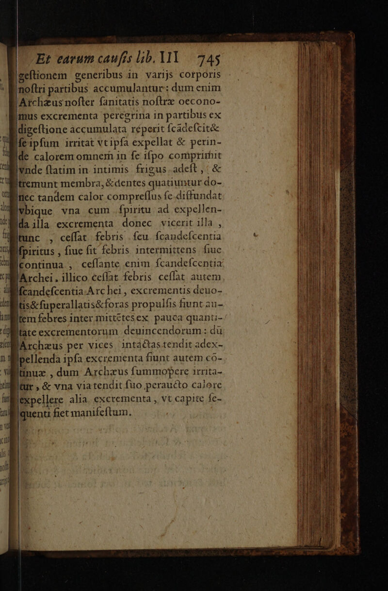 l [. MN CDM aui | Er earum caufes lib. Yl |. 245 |geftionem generibus in. varijs corporis nofi partibus accumulantur: dum enim |Archzus nofter fanitatis noflrx oecono- ai excrementa peregrina in partibus ex digeftione dccnmlaa réperit fÍcadefcit&amp; !fe ipfum irritat vtipfa expellat &amp; perin- Ide calorem omnem in fe ifpo comprirtit Jvnde flatim in intimis frigus. adeft, &amp; Itremunt membra, &amp;dentes quatiuntur do- luec tandem calor compreflus fe diffundat Ivbique vna cum fpiritu: ad. expellen- da ila excrementa donec vicerit illa , |tunc , ceffat febris | fcu. fcandefcentia Mpiritus , fiue fit febris 1ntermittens. fiuc lcontinua.; ceflante enim fcandeícentia Ifcandefcentia Arc hei , excrementis deuo- lis&amp;:faperallatisécforas propulfis fiunt au ltem febres inter mittétesex. pauca HCM GR tate excrementorum .deuincendorum : dü lA rchzus per vices intactas tendit adex- pellenda ipfa excrementa fi fiunt autem có- finus dum Archzus fummofpere irrita- tur ; &amp; vna viatendit fuo peraucto caiore EL alia. excrementa , vt capite fc- quenti fiet manifeftum. ———— PÁáü! aci Ae i i. as iwi ticae e aii aas ENS y and d sai T i Em NI i t aun, rta ARE. . Wm : Tet. mm EA * m Due xco$ X CITANT » Dn———————————————M—M— (RO EN