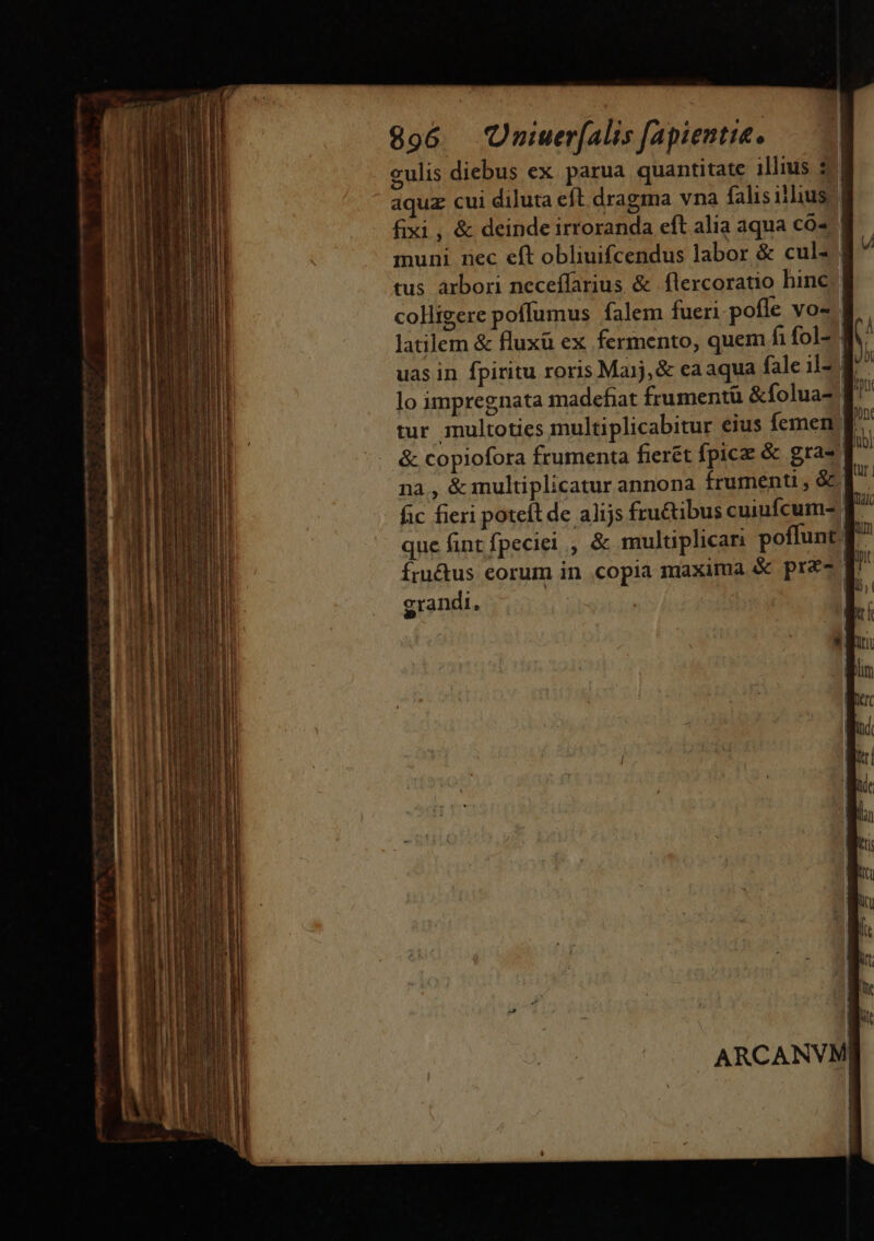 gulis diebus ex parua quantitate illius $| aquz cui diluta eft dragma vna falis illius, | fixi , &amp; deinde irroranda eft alia aqua có» muni nec eft obliuifcendus labor &amp; culs | tus árbori neceffarius &amp; flercoratio hine. colligere poffumus falem fueri pofle vo- latilem &amp; fluxü ex fermento, quem fi fol- 4 uas in fpiritu roris Maij, &amp; ca aqua fale il- 3$ lo impregnata madefiat frumentü &amp;folua- | tur multoties multiplicabitur eius femen T &amp; copiofora frumenta fierét fpica &amp; gra- na, &amp;multiplicatur annona frumenti , &amp;.| fic fieri poteft de alijs fru&amp;ibus cuiufcum- T que fint fpeciei, &amp; multiplicari poflunt f Íru&amp;us eorum in copia maxima &amp; prz- T grandi, | v —— Ho UB Mt Yn à