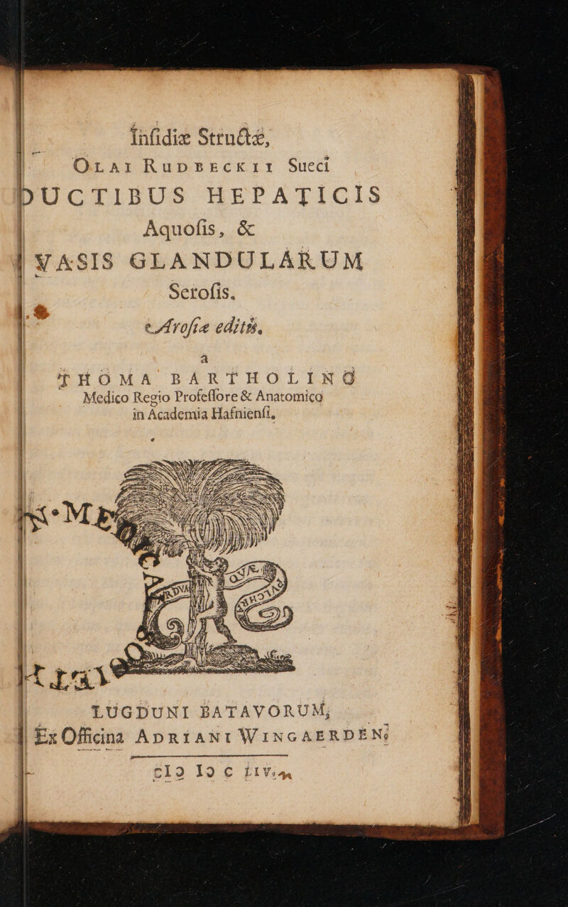 iInfidie Structz, p Orari Rupsreckrir Sueci DUCTIBUS HEPATICIS | Aquofis, &amp; | «SIS GLANDULARUM Serofis. eIArofie edits. a | | | | | | | | | | LUGDUNI BATAVORUM; |. J| Ex Officina ApniANt WiNGAERDEN: MÀ iL. c12 I2 C LIVs4