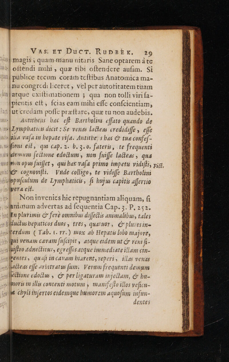 (iJ magis ; quam-manu nitaris. Sane optarem à te MH ottendi mihi , quz tibi oftendere aufim. Si qj püblice tecum coram teftibus Anatomica ma- | nu congredi l:cetet , vel pet autotitatem tuam /'MJatque cxillimiationem 5 qua. non tolli virifa- |ptentis eft; fcias eam inihi effc confcientiam, f Jut credam poflc przftare, quz tu non audebis. po autbeüs bec eff Bartholim effato quando. de mE Lympbatits dicit : Se venas lacteas credidiffe ,. effe iifalta vafa in bepate vifa. Antube! s bac &amp;* tue confef- wMfiont est, qui cap. 2. b. 3.0. fateris, te frequenti i dildemum Jectione edodum , non fuiffe ladeas , qua wi cognovifti. Vnde colligo, te vidiffe Bartholini dulepafculum de Lymphaticis , fi bujus capitis affeviio mapefa est. Non invenies hic repugnantiam aliquam, fi daniiium advertas ad fequentia Cap. 3. P, 252. win plurimis c feré omnibus diffetis animalibus, tales avi iudtus bepaticos duos , tres, quatuor, C pluresine imterdum ( Tab. v. vr.) mox ab Hepatis lobo tnajore, Jeudi venam cavam [ufcipit , atque eidem ut c veni fi- «mnlefero 2dnectirur, egreffos atque immediateillam ctn- welrentes, quaft in cavam biarent, veperi, illas venas 4n Mtleas effe avbitratus fum; Verum frequenti demum wuifledione edoctus ,. C per ligaturam injectam, c bu- ayedinoris in illis contenti motum y, manifefto illos veficu- qt cbyli infertos eidemque bumorzm aquofum infi