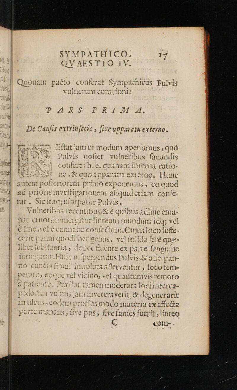 -.- CÓ QV AESTIO IV. Quonam paco conferat Sympathicus Dulvis vulnerum curationti? TOURS PUE JAM. De Caufis extrin[ecis » fiue apparatu externo. Kec A Lftatjam ut modum aperiamus , quó BW NS E o. L4 ?)97 ] ulvis nofter vulneribus fanandis » confert '. quànam interna ratio- CLP, ne. diio: à] iU badti externo. Hunc auteni po IOICt priun Ó Ccxbonecmu IS » eo quod ad prioris inveftigationem aliquidetiam confe- fat. Sic itaq; u(urpatur Pulvis. Vulneribns recentibus;&amp; é quibusadhuc ema- nat cruor,mmereitt Hnteam mundum idq; vel fe^ 1 V^ f ( € lino,vel e cannabe confe&amp;tum.Cujt ded fuffe- cerit panni quod/ibet genus, vel f6l ia fe ipsa libet iub!tantia , donec fluente ex larei fanguít pergendus Pulvis, &amp; alio pan- no. iafimul inuoluta aflerventur , Io teme- perato».coque vel vicino, vcl quantumvis remoto d pi ente. Preftat tamen mo: derata loci interca- pcao.5in vulnus jam inveteraverit, &amp; degenerarit in ulcus ; codem protíós modo materia ex affecta parte ruanans ; frve pus; fivefanies fuerit linteo C cot-