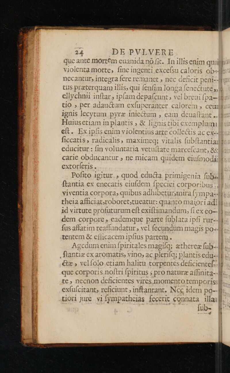 que ante mortem euanida nó fit. OE quid: violenta morte, linc Hg nti FKCEiSH cal oris ob»Jl necantur, integra fere 1 anet » nec deficit peni-4i tus preterquam illis; a fenfim long: a enctuté ellychnii inftar , ipfam depa(cunt, vel b: reui fpa- Cio , per adauc&amp;um exíui peranter calorem , ceu 1gnis lecyt um pyra inie&amp;tum ; eam deuaftant ..Hl Huiusetiam in plantis , &amp; Ii gnis t tib1 exemplumi eít. Ex ipfis enim violentius arte colle&amp;is ac ex-- cane radicalis, maximeq; vitalis fub! Lantia: | ducitur : fin voluntaria vetuítate marcefcant, &amp; carie obducantur ; ne micam quidem ut extorferis . Pofito igitur. ; quod educa primigenia füb. | ftantia ex enecatis eiu(dei m ip 2CCI sprporio us. viventia corpora, quibus xdiibeu mira fympa:- theia afficiat;roboret;tueatur: quanto maior lad j 1d virtute profuturum eft exiftimandum, fi ex eo—- i dem corpore» eademque parte fublata qm rur--nj fus affatim reaffandatur , vel fecundum magis po. tentem &amp; cíiicacem 1p fius parem , Agc cdum enim Ípiritales ag! iq; zth crea fub- T] flantie cx aromatis, vino, ac : pl eriiq; plantis edu--[] &amp;z » vclíolo etiam halitu torpentes deficientef- li que corporis noftri fpiritus 5 pro nature affinita--ff tc, neccnon deficientes vires momento temp: OFIS exfufcitant, reficiunt ; inftanrant. Ncc idem po-- lh. tiorijure vifympatheias fecerit connata illaill. ics. TN fub. [r^ . e