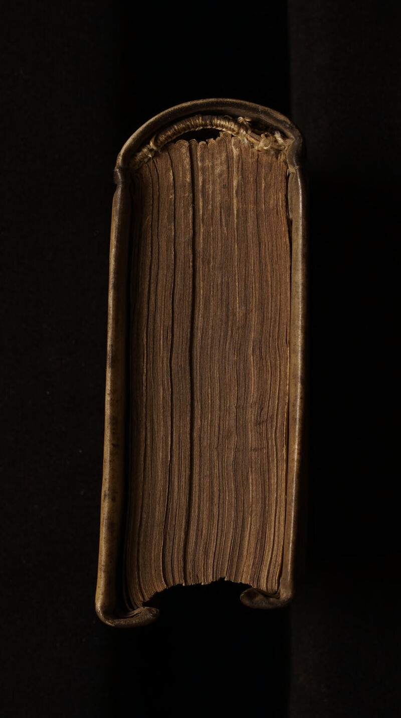 No text description is available for this image