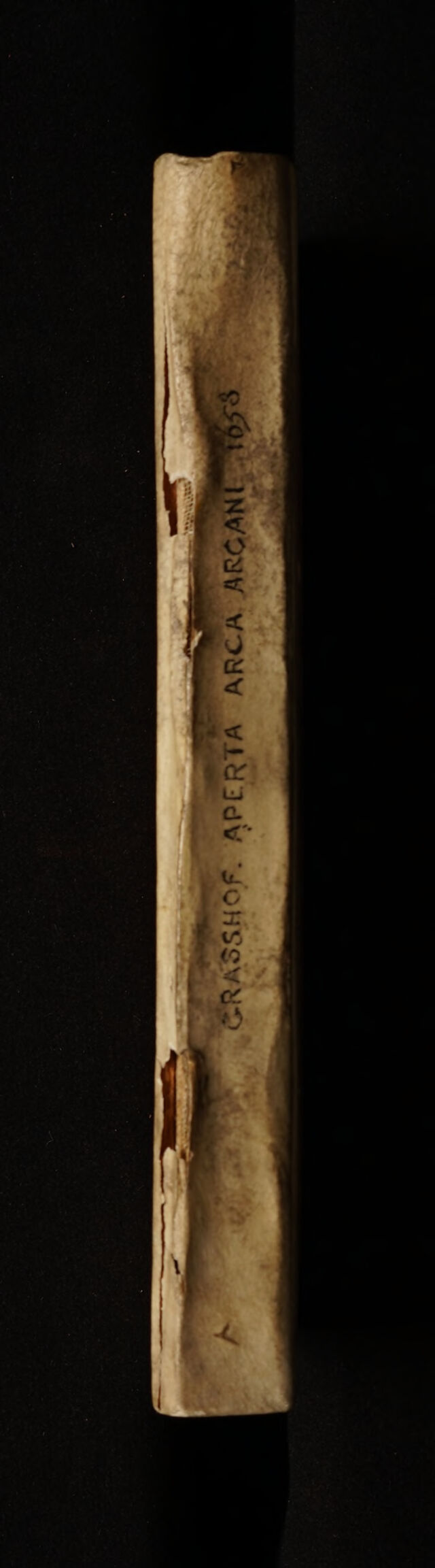 No text description is available for this image