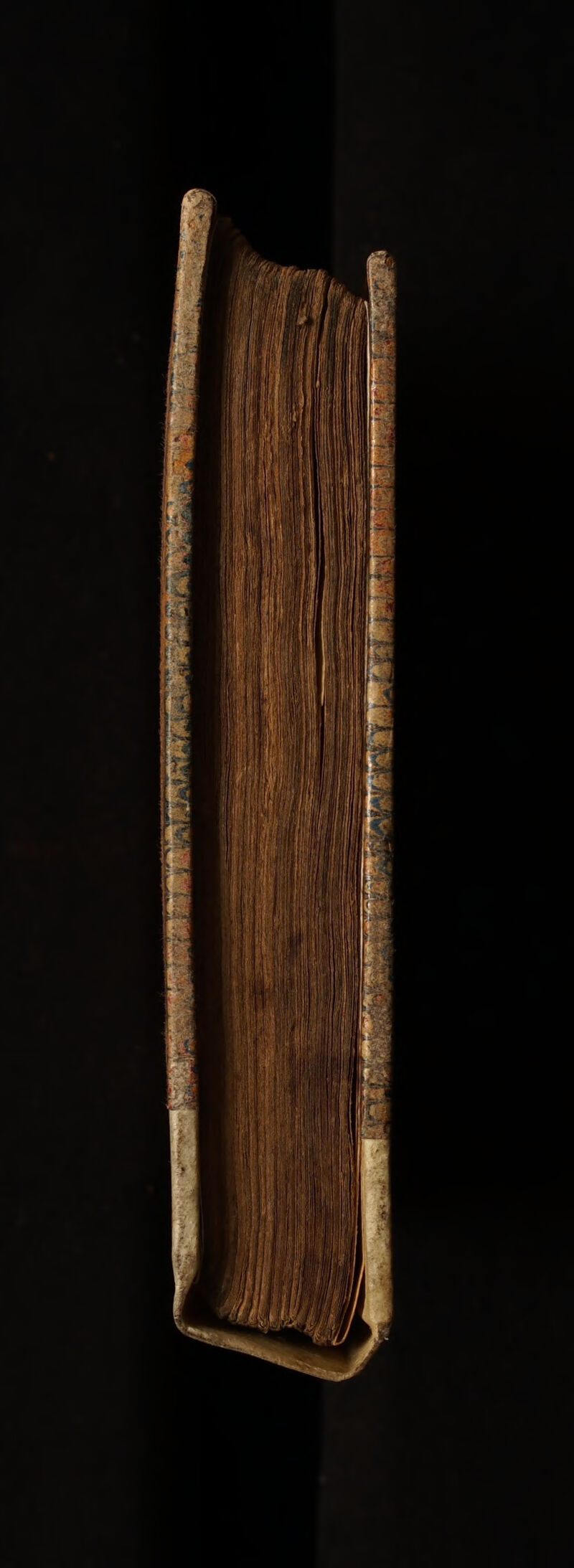 No text description is available for this image