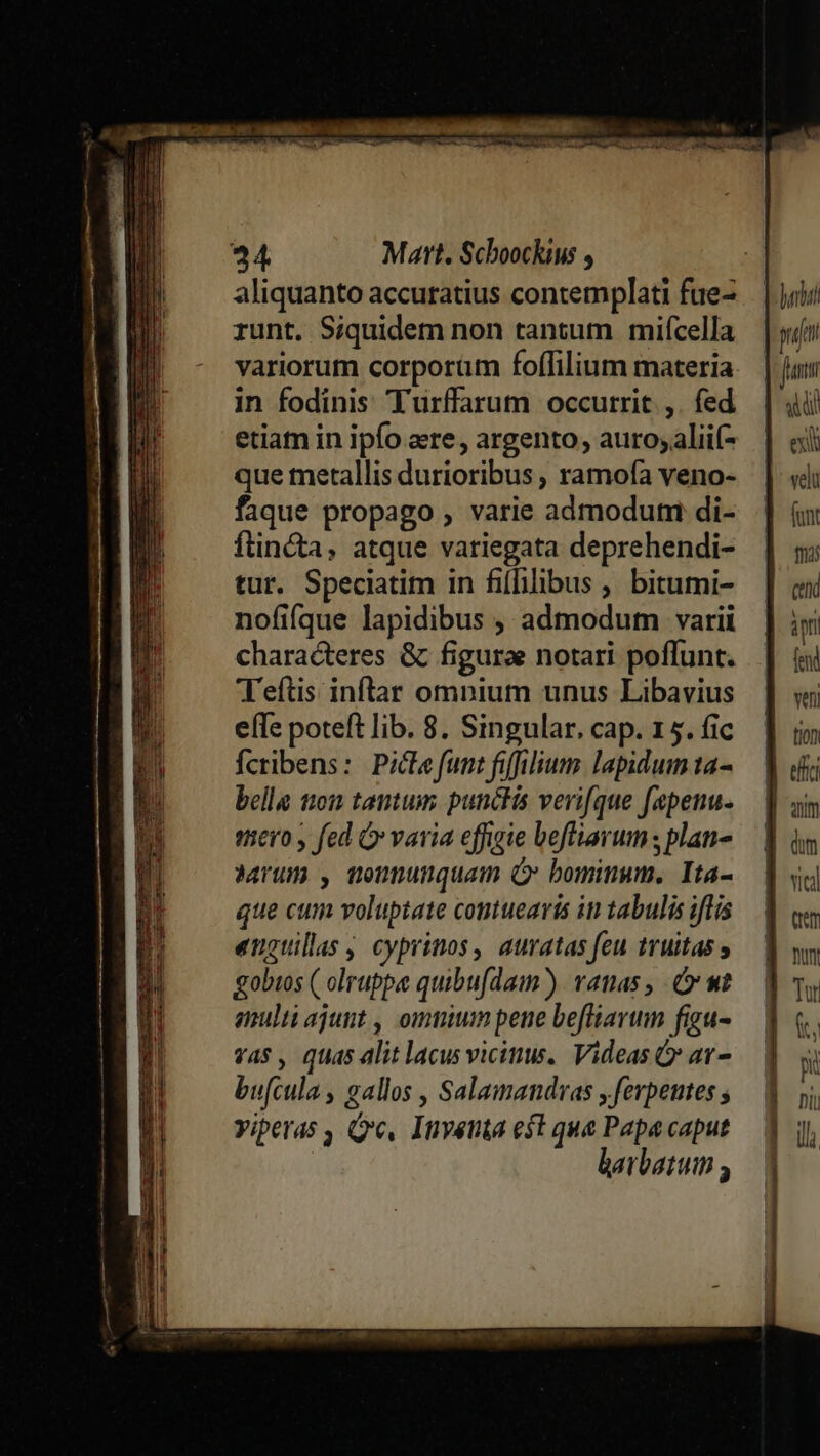 aliquanto accuratius contemplati fue- runt. Siquidem non tantum mifcella variorum corporüm foffilium materia in fodinis Turffarum occurrit ,. fed etiam in ipfo aere, argento, auro;aliií- que metallis durioribus , ramofa veno- faque propago , varie admoduni di- ftin&amp;ta, atque variegata deprehendi- tur. Speciatim in fiffilibus , bitumi- nofiíque lapidibus , admodum varii characteres &amp; figurae notari poflunt. Teftis inftar omnium unus Libavius efTe poteft lib. 8. Singular, cap. 15. fic Ícribens: Pide funt fiffilium lapidum ta- bella 110121 tantum punctis verifque fepenu. «tiero y fed varia effigie beffiarum; plan- Mum , nonnunquam C bominum. Ita- que cum voluptate contuearis in tabulis iflis engtillas cyprinos, auratas feu 11uitas » gobtos ( olruppe quibu[dam ) vanas ,. C wt amulti ajunt , omuium pene beffiarum figu- v4$, quas alit lacus vicinus. Videas &amp; ar- bu[cula, gallos , Salamandvas yferpeutes ; viperas , Gre, Inventa eft qua Papa caput barbatum ——Ó hri putt exi vel (unt fma cend i fend ven) fion eta