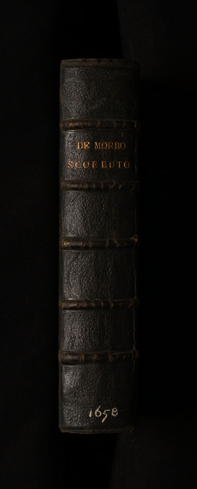 No text description is available for this image