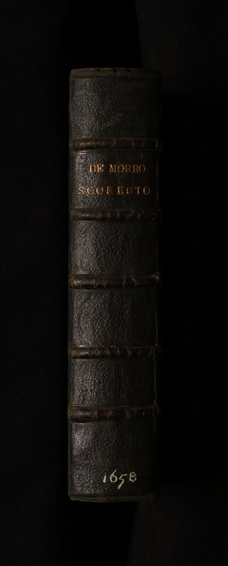 No text description is available for this image