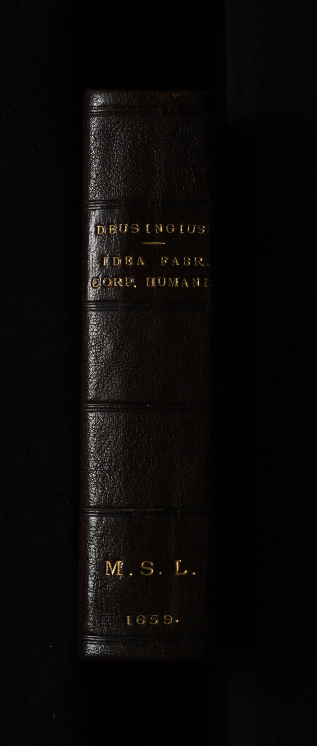 digitised image 2