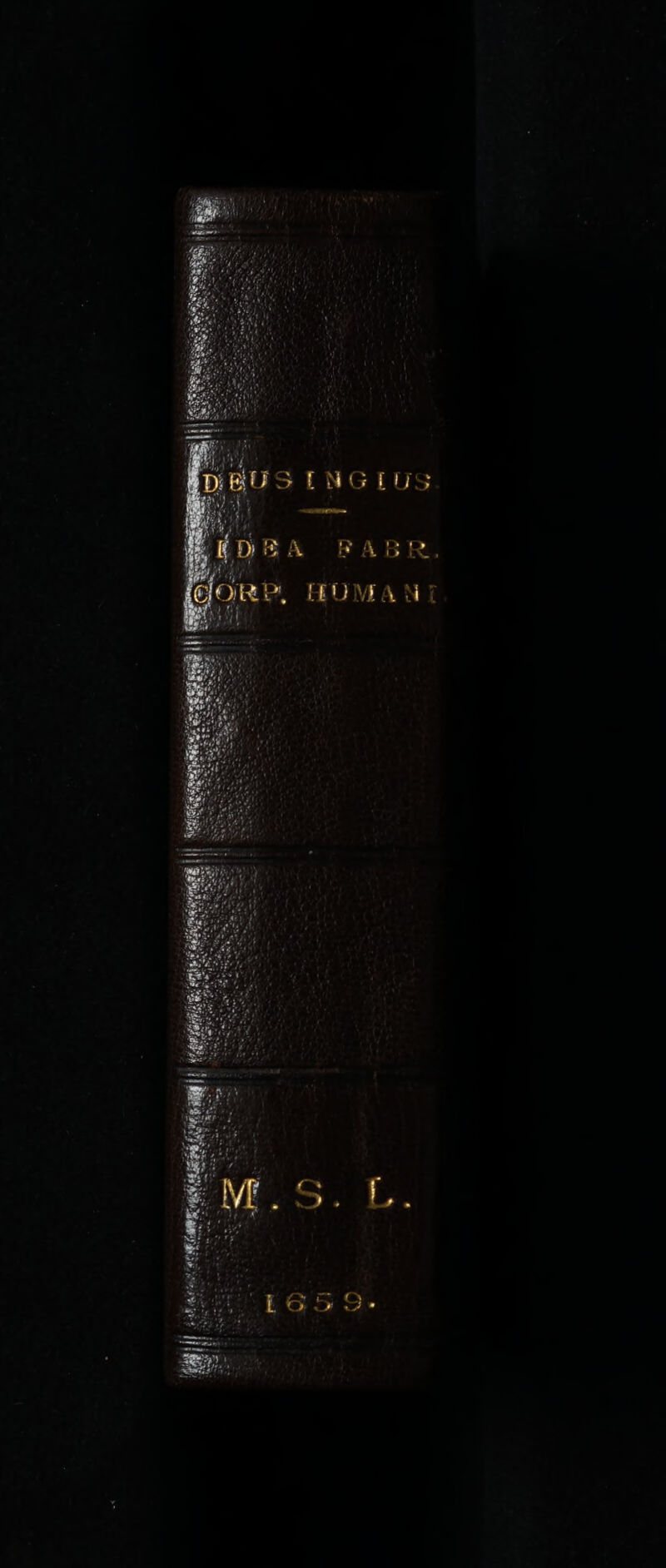 VE iBUS LNGLEIUS FABR.