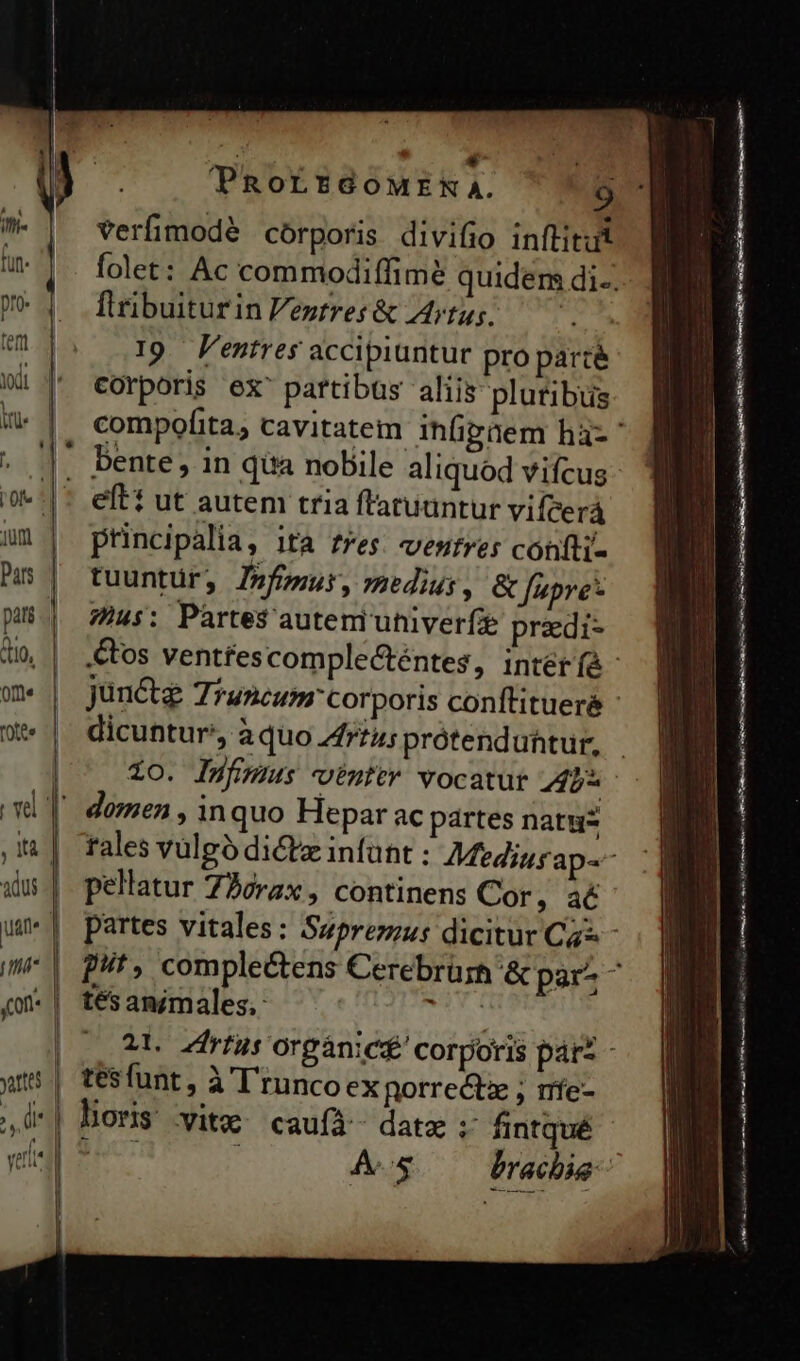 * : | PROLEGOMENA. 9 verfimodé córporis divifio inflitut Ilribuiturin eztres &amp; I4rtus. tem d 19. P'entres accipiuntur pro parce ^ €orporis ex^ partibaus aliis plutibus : |. Dente, in qua nobile aliquod vifcus |* eftt ut autem tria fratuuntur viícerá jm principalia, lta f*es. ventres cohfli- hs | tuuntür, Z»fgur, medi, &amp; Jupre- | Whus: Pàrtes$ auteniuhiveríi przdi- dicuntur, àquo 4rzuis prótenduhtur, | io. Ifumus inttr vocatur pj vl | dozen , in quo Hepar ac partes natu? pellatur 73orzx , continens Cor, aé qw | tésamimales.: ifia |^ 2 Zrtus orgànic£' corporis pit wr | tesfunt, à T'tuncoexporrectz ; me- .de| lors vite caufá- date ; fintqué vp o Ms drei l ? ELLO Pr