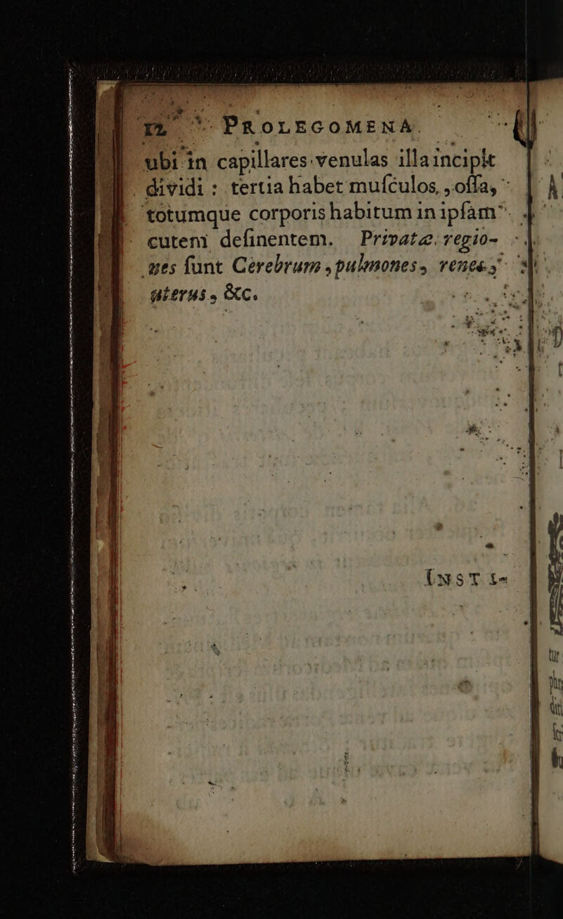 4i '. PRoLECOMENA. ubi in capillares:venulas illa incipit -M dividi: tertia habet mufculos,,offa, | totumque corporis habitum in ipfam. | cuteni definentem. — Pripatz. vegio- || Aes funt. Cerebrum ,pulenones, vence y sy aitrus , &amp;c. S — Ee meminere et a n
