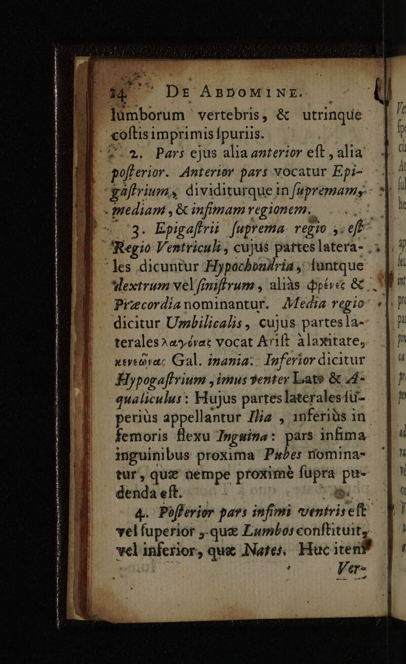 aj itte et lender AP i mr me rfe nmn ere Hi lümborum vertebris, &amp; utrinque coftis imprimis fpuriis. pofferior. Anterior pars vocatur Epi- 3. Epigaftris fuprema Tég10 ;veff Regio Ventriculi, cujds partes latera- . dextrum velfimiffrum , aliàs dpévec &amp; ; Przcordíanominantur. 4Media regio- dicitur Usbilicalis , cujus partesla- terales»^ayévec vocat Arift. àlamtate, xeyeivaz Gal. imania.- Inferior dicitur Hypogaftrium ,imus enter Lato &amp; 44- qualiculus: Flujus partes lateralesíu- periüs appellantur J/ja , 1nferiüs in femoris flexu Ingsina: pars inima inguinibus proxima Pa^es niomina- tur, qua? nempe proxime fupra pu- denda eft. | o 4. Pofferior pars infimi ventrisett: velfuperior ,-qu&amp; Lumbos conftituit; velinferior, que Nafes Hucitenf ! Ver-
