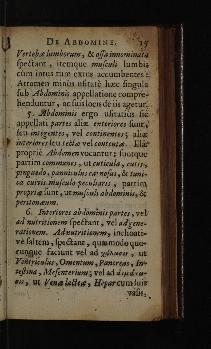 Vertebze lumborum , &amp; offa innominata Ípe&amp;ant , itemque. zzufculi lumbis cüm intus tum extus accumbentes Attamen minüs ufitaté hzc fingula fub bominis appellatione compres interioresleu tefie velcontente. Mla? proprié Z4$domen vocantur z funtque pinguedo , panniculus carno[us , &amp; tuni- ca cutvis.mu[culo-peculiaris ,' partim propria lunt ,utzsu[culi abdominis, &amp; peritoneum. | 6. Pateriores abdominis partes , vel rationem. Ad nutritionem., inchoatie vé faltem , (pe&amp;ant , qua&amp;modo quo- cungué faciunt vel ad «Aoc , ut tefna , Me[enterium ; vel ad &amp;iud'cws 61, Ut. Ven latte Héparcumíuis | di váfis,. ———— Mr € €— m