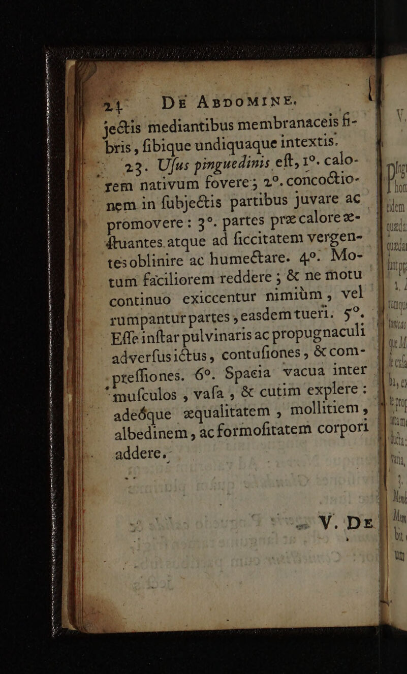 ———MQ ue —MÁHá E dE MD E CE E Hia nra mm m mE I t ani Ese gt je&amp;tis mediantibus membranaceis fi- bris, fibique undiquaque intextis. 23. Ujfws pinguedinis eft, 19. calo- promovere : 3^. partes pre calore z- 4dtuantes. atque ad ficcitatem vergen- tesoblinire ac humectare. 4». Mo- tum faciliorem reddere ; &amp; ne motu continuo exiccentur nimium, vel rumpantur partes , easdem tueri. $2. Effe inftar pulvinaris ac propugnaculi adverfusictus, contufiones , &amp; com- ; prefftones. 69. Spacia vacua inter ^mufculos , vafa , &amp; cutim explere : albedinem , ac formofitatem corpori addere.: -*