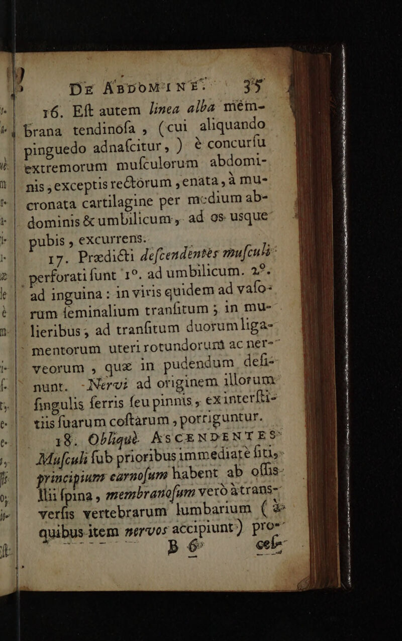 Dr AsvowiNE. | 3* 16. Eft autem /izea alba mém- brana tendinofa , (cui aliquando pinguedo adnafcitur, ) € concuríu extremorum muículorum abdomi- nis ,exceptis rectorum , enata, à mu- cronata cartilagine per mcdium ab- dominis &amp; umbilicum ,. ad os usque pubis , excurrens. 17. Predicti defcendentés mu[culi: 1?. ad umbilicum. 2?. ad inguina: 1n viris quidem ad vaío: rum feminalium tranfitum 5 in mu- lieribus; ad tranfitum duorum liga- veorum , qu in pudendum defi- nunt. -Nervi ad originem illorum fingulis ferris feu pinnis ; exinterfti- tiis fuarum coftarum , porriguntur. Ili fpina, membrano[um vero àtrans- quibus.item servos accipiunt ) n CANSA UC 6» ee xd — -— — — med t