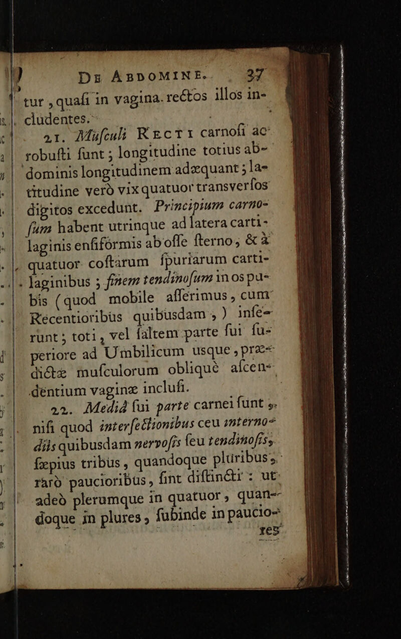 41. AMü[culi R ECT carnofi ac robufti funt ; longitudine totius ab- titudine veró vix quatuor transverfos digitos excedunt. Principium carno- fum habent utrinque ad latera carti- laginis enfifórmis aboffe fterno; &amp; à quatuor. coftàrum fpuriarum carti- bis ( quod mobile afféerimus , cum. Kecentioribus quibusdam ; infe- runt ; toti, vel faltem parte fui fus periore ad Umbilicum usque , prae dentium vaginz inclufi. nifi quod inter[e&amp;lionibus ceu interno diis quibusdam nervofis feu tendinofís, doque in plures ; (aom rta e eR diro Ft edi tici eat Rae ien 6 n aC c Pm rcs a o Ne RGB EN RR Hs EUM : : ! e ae pni ME de oae en ect ra ANA cui e MP ter rmt di Ly d d IRIS mi RI rir