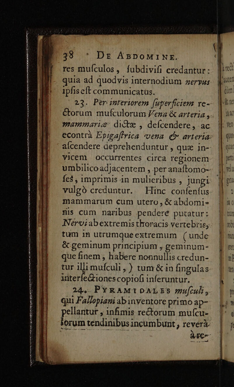 3 or - ——— IG m ——Ó a e E DECRE i reum anima rg Par tant. BRI yaf neret T ^ — tete p qr mite e temet stt ds Rire y 38 * Dr ABDoMINr. res muículos, fubdivifi credantur: quia ad quodvis 1nternodium zerrvus mammaric: dicte , defcendere , ac aícendere deprehenduntur , quz in- vicem occurrentes circa regionem fe$ ; imprimis 4n mulieribus , jungi vulgó creduntur. Hinc confenfus mammarum cum utero, &amp; abdomi- His cum naribus penderé putatur: tum 1n utrumque extremum ( unde &amp; geminum principium , geminum- que finem ; habere nonnullis credun- tur in mufculi, ) tum &amp; in fingulas interieG iones copiofi inferuntur. 24. PYRAMTODALES ufculi, qui Fallopiani ab inventore primo ap- pellantur , infimis rectorum mufcu- àre- (AT! A AL