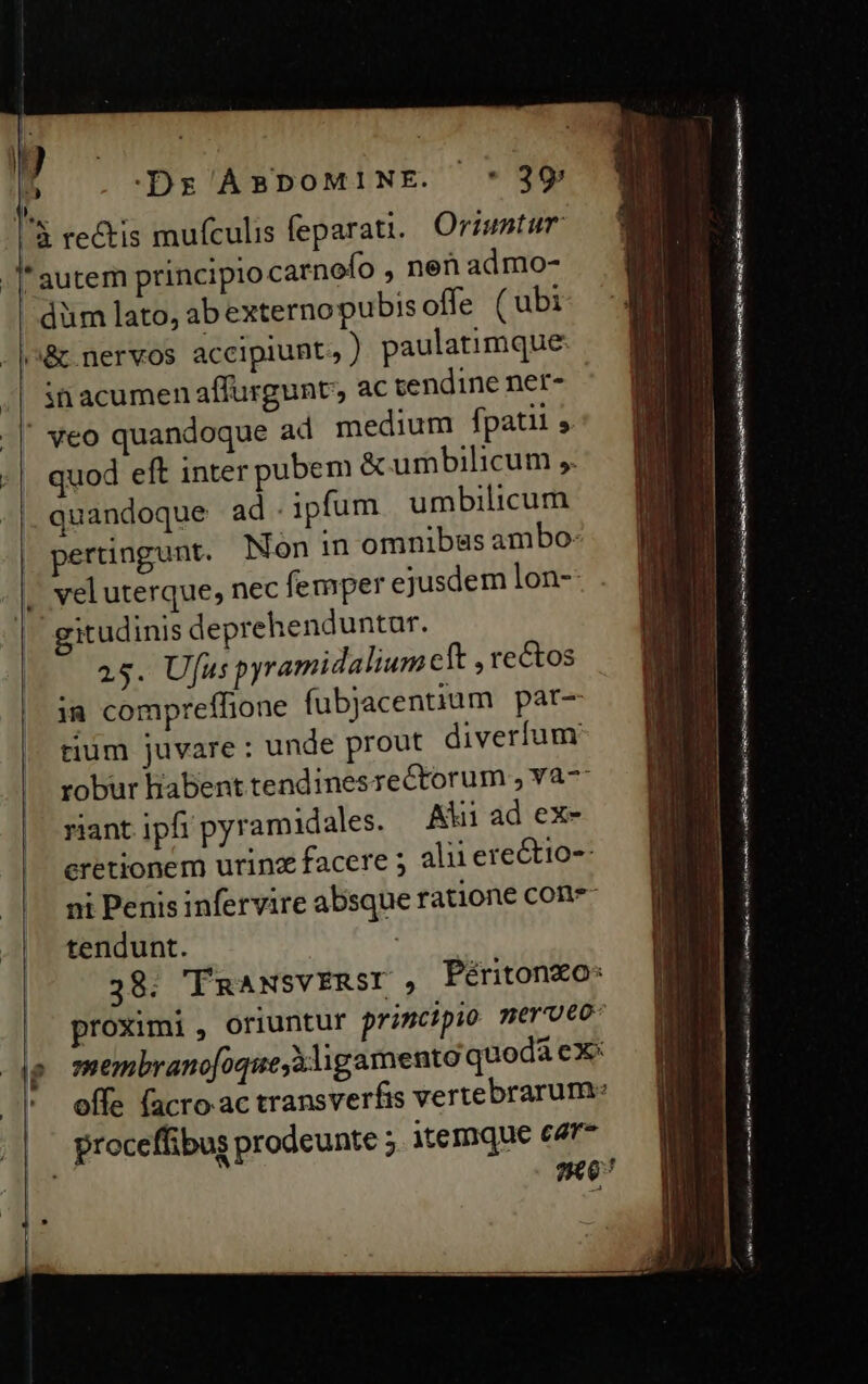 Jl. I 4 -Dg ABDOMINE. * 39 3 re&amp;tis mufculis feparati.. Oriuntum * autem principio carnofo , nen admo- |! dum lato, ab externopubis offe (ubi c&amp; nervos accipiunt, ) paulatimque 3i acumen affurgunt, ac tendine ner- | veo quandoque ad medium fpatii j quod eft inter pubem &amp; umbilicum ,. |. quandoque ad. ipfum umbilicum pertingunt. Non in omnibas ambo: vel uterque, nec femper ejusdem lon-- gitudinis deprehenduntur. 25. Ufus pyramidalium cft , rectos ia compreflione fubjacentium par- tium juvare : unde prout diverfum robur habent tendinesrectorum , Ya7: riant ipfi pyramidales. Aii ad ex- cretionem urinz facere ; alii erectio ni Penis infervire absque ratione cone- tendunt. 38; 'TRANSVERSI , Péritonzo: || proximi, oriuntur prizcipio merU€o- f membrano[oque X ligameuto quodà eX ^| effe facroac transverfis vertebrarum- || | proceffibus prodeunte ; itemque ezr* Ir ?K 0 | AMET md EO Ue mrt LB) it GRESNrE GOPY 9r