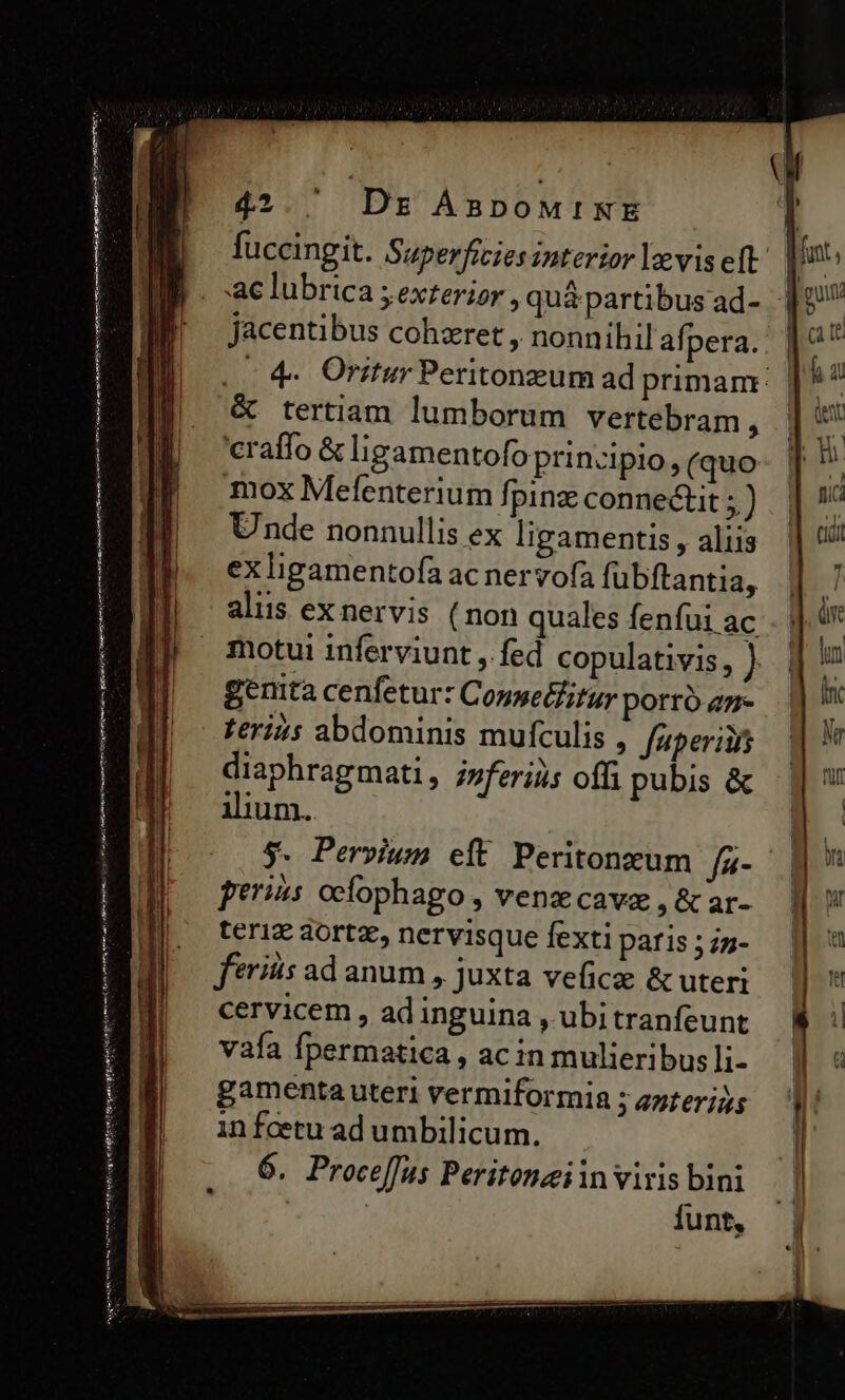fuccingit. Superficies interior levis eft i ac lubrica y exterior, qua partibus ad- jacentibus cohzret , nonnihil afpera.. |? | 4 Oritur Peritonzeum ad primam | * &amp; tertiam lumborum vertebram, p 'craffo &amp; ligamentofo principio, (quo- || ! mox Mefenterium fpinz connedlit ; ) p Unde nonnullis ex ligamentis, alis || exligamentofaacnervofafübftantia, | 1 alus exnervis ( non quales fenfui ac . |] 4 motui inferviunt , fed copulativis, ) | lm genita cenfetur: Conselitur porrógz- * feris abdominis mufculis , fuper q  diaphragmati , j»feriis offi pubis&amp; q ilium. E $. Persium eft Peritonzum fg. - E perius ocfophago , venz cavae ,&amp;ar- Wi teri&amp; aortz,nervisquefextiparis;zs- || feriis ad anum , Juxta veficee &amp; uteri — $ cervicem , ad inguina , ubitranfeunt ! i vafa fpermatica , acin mulieribus li- gamenta uteri vermiformia ; ezterjj; in foetu ad umbilicum. 6. Proce[fus Peritonziin viris bini | funt, - - T -— — Denn ci Eae e A e RE : —^—€——— € Ve niano gn SÉ AA Sa c   ^ ——— - amne — M e EE i sa Antrim m En tato a à — M MÀ Meses dici mecs C rh mn rm at n foit dgrsetiódeTexu it Shin tritt ri ge € tte ent ES hA cog tin