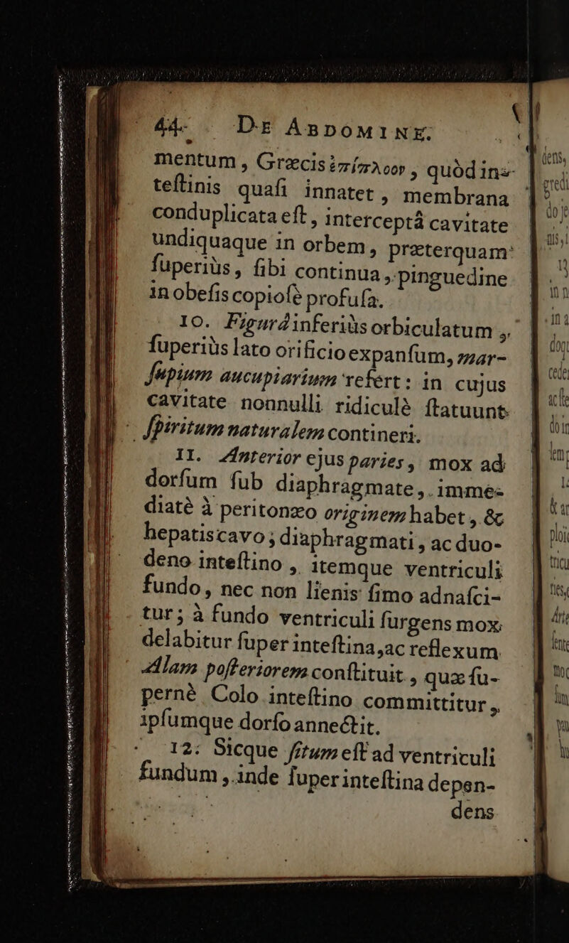 €——— C Mine d potrei Cem Atene nmt pA hg tid vni thin 44- . Dr Anpouinx. mentum , Grzcis £73 pop , quód in teflinis quafi innatet , membrana conduplicata eft, intetceptá cavitate undiquaque in orbem, preterquam: fuperiüs, fibi continua ,.pinguedine in obefis copiofe profufa. IO. Pigurdinferiüsorbiculatum ji fuperiüs lato orificio expanfum, zzar- Jupinm. aucupiarium vefert : in cujus cavitate nonnulli ridicule Ítatuunt. IL. interior ejus paries, mox ad dorfum fub diaphragmate ;.imme« diaté à peritonzo originen habet ,. &amp; hepatiscavo; diaphragmati , ac duo- deno inteílino , itemque ventriculi fundo, nec non lienis fimo adnafci- tur; à fundo ventriculi furgens mox; delabitur fuper inteftina,ac reflexum lan poffertorem conftituit » qux fu- perné Colo inteítino committitur ,. ipfumque dorfo anne&amp;tit. 12: Sicque fitum eft ad ventriculi fundum , inde fuper inteftina depen- dens