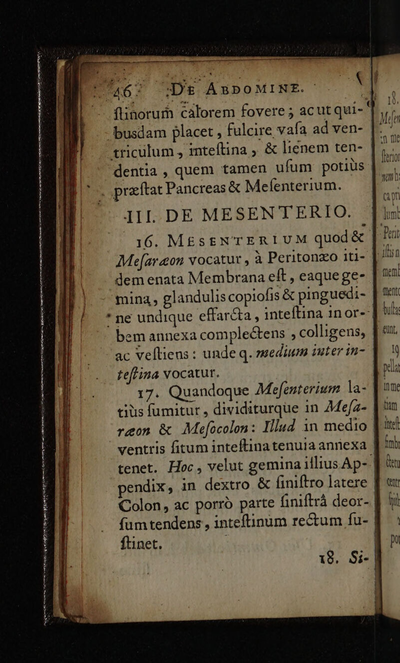 ftinorum càlorem fovere 5 acut qui- ' busdam placet , fulcire vafa ad ven- triculum , intefítina ; &amp; lienem ten- dentia , quem tamen ufum potius | '-. preftat Pancreas &amp; Mefenterium. JIL DE MESENTERIO. 16. M&amp;ssN'TERIUM quod&amp; | ^ Me[araon vocatur , à Peritonzo iti- | dem enata Membrana eft , eaquege- | mina, glandulis copiofis &amp; pinguedi- | ' * ne undique effar&amp;a , inteftina 1n or- | 9 bem annexa complectens ; colligens, | ac vellieus : unde q. medium iuter in- | teftina vocatur. | 17. Quandoque Mefenterium la- | | tilis fumitur , dividiturque in Adefz- | reon &amp; Mofocolon: Illud in medio ventris fitum inteftinatenuia annexa tenet. Hoc, velut gemina illius Ap- | pendix, in dextro &amp; finiftro latere | Colon, ac porro parte finiftrá deor- | fum tendens , inteftinum re&amp;um fu- | ftinet. | | 146 : | De ÁÀ S50 MINE. Muni artum tan memet VM Age mere Ce ri mete nor antt Menem — 18. S$i;-