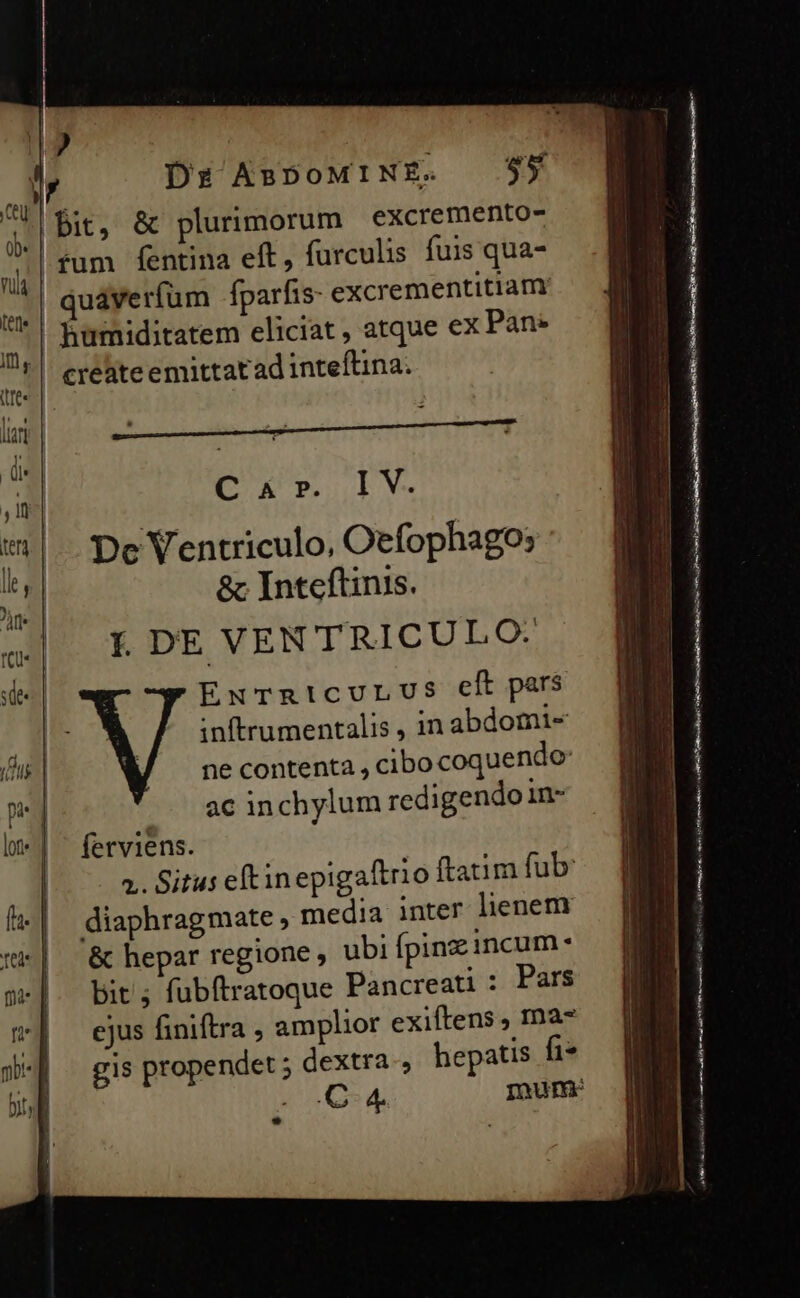 bit, &amp; plurimorum excremento- quaverfum fparfis- excrementitiammr humiditatem eliciat , atque ex Pan: CERE EV De Ventriculo, Oefophago, &amp; Inteftinis. L DE VEN TRICULO. EuxTrRicurLUus cí pars inftrumentalis , 1n abdomi- ne contenta , cibocoquendo: .. 8c inchylum redigendo in- ferviens. media inter lienem &amp; hepar regione , ubi Ípinz incum- bit ; fubftratoque Pancreati : Pars ejus finiftra , amplior exiftens , 1na- hepatis iz ——— » Meu LT MN anten da, a —Ó
