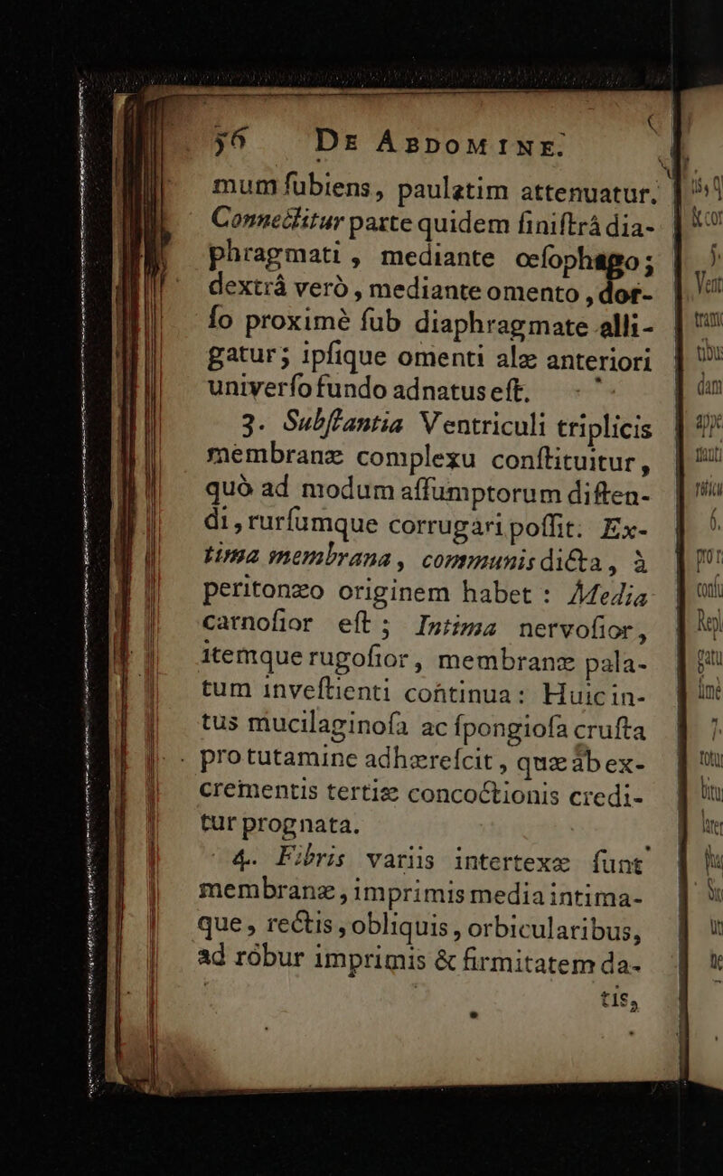 — MA — wenn inti igis iid vtto i $6 Dr ÁspoMINE mum fubiens, pauletim attenuatur. Conneclitur parte quidem finiftrá dia- phragmati , mediante ocfophageo ; dextrá veró , mediante omento dot- Ío proximé fub diaphragmate alli- gatur; ipfique omenti alz anteriori univerfofundo adnatuseff. - '- 3. Subffantia V entriculi triplicis membranz complexu conftituitur, quó ad nodum affumptorum diften- di, rurfamque corrugaripoffit: Ex- Lima membrana, communisdi&amp;a, à peritonzo originem habet : ÀAfedia carnofior eít; Imma nervofior, itemque rugofior, membran pala- tum inveflienti cohtinua: Huicin- tus mucilaginofa ac fpongiofa crufta crementis tertiz concoctionis credi- tur prognata. l 4. Fibri varis intertexe funt membranz, imprimis media intima- que , rectis , obliquis, orbicularibus, ad robur imprimis &amp; firmitatem da- tie, *