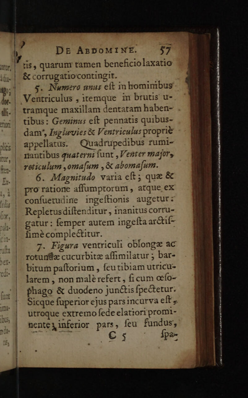 iAVik tis, quarunr tamen beneficiolaxatio &amp; corrugatiocontingir. s. Numero unus elt in homimbus tramque maxillam dentatam haben- tibus: Geminus eft pennatis quibus- dam', Ingizvies &amp; VA entriculus proprie appellatus. Qiuadrupedibus rumi- rnantibus quaterni funt , Venter majors reticulum ,oma[um ,&amp; aboma[um. 6. Magnitudo varia eft; quz &amp; pro ratione affumptoram , atque ex confuerudine ingeíhonis augetur: gatur ; femper autem ingeíta ar&amp;if- fimé comple&amp;itur. 7. Figura ventriculi oblonga ac rotunflz cucurbitz affimilatur ; bar- bitum paftorium , feutibiam utricu- larem , non malé refert , fi cum oefo- phago &amp; duodeno junctis fpectetur. Sicque fuperior ejus pars incurva eft » utroque extremo fede elatiori promi- nente X inferior pars» feu fundus; € ; pas e € Éric VD ld a VR Hm i iH ul ul i stessi phi munnl atrii leq iH V s MAT v ANT sr T M sv ugs A cierto emp carts ad [A 9 c i HPV gore