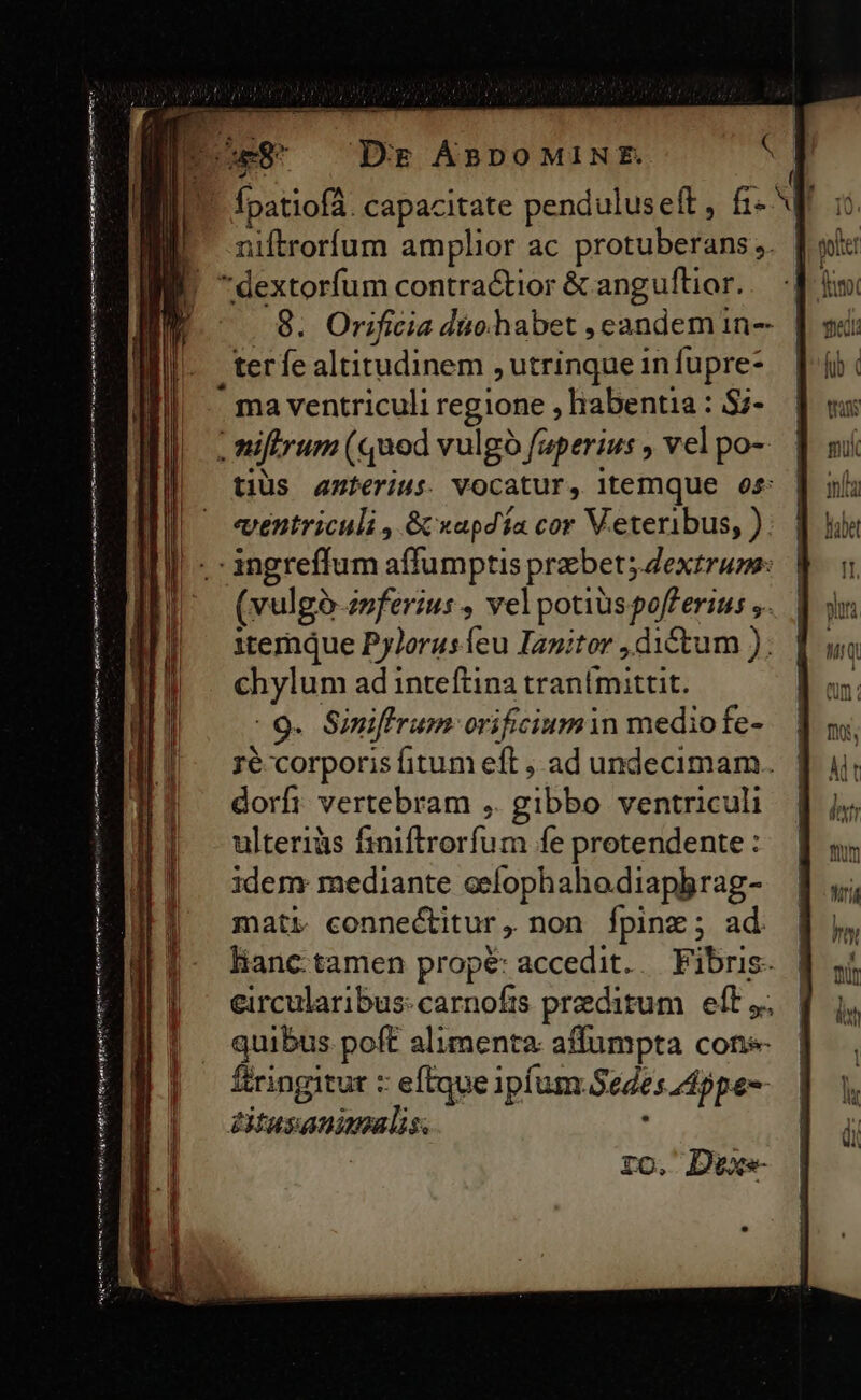 id Serb grs lén eei mg tro ru mt det metto ttum d rm emos Dg ÁBDOMINE. i: niftrorfum amplior ac protuberans ,. dextorfum contractior &amp; anguflior. 8. Orificia dio.habet , eandem in-- terfe altitudinem , utrinque in fupre- . ma ventriculi regione , habentia : $2- .niftrum (quod vulgo fuperius , vel po- tiüs anterius. Vogatur, itemque 05: ventriculi , &amp; xapdía cor Veteribus, ): .-ingreffum affumptis przbet; dextrum: (vulgó evferius , vel potiüspofferius ,. itemque Pylorusíeu Ianitor , dictum ). chylum ad inteftina tranímittit. (9. Siniffrum orificiumin mediofe- 16 corporis fitum eft , ad undecimam. dorfi vertebram ,. gibbo ventriculi ulteriàs finiftrorfum fe protendente : idem mediante oefophahodiapbrag- matr conne&amp;itur, non Ífpinz; ad lianc tamen prope: accedit... Fibris- eircularibus:carnofts preditum | eft, quibus poft alimenta: affumpta cons ftringitut : : effque ipfum: Sedes Apes ditus: animalis ro. Devxe-