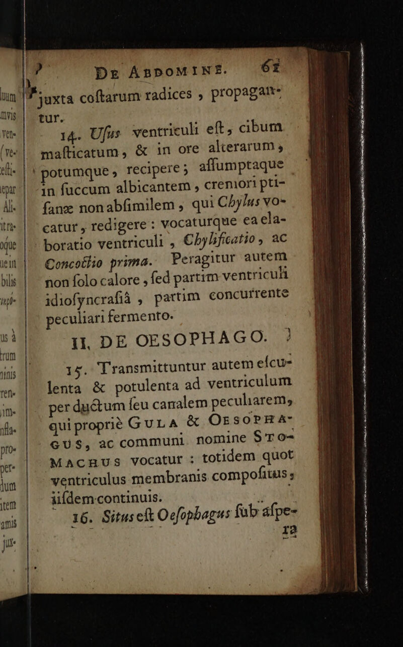 tur. 14. Ufus. ventriculi eft, cibum mafticatum , &amp; in ore alterarum ; potumque , recipere ; affumptaque in fuccum albicantem , creniori pti- fane nonabfimilem , qui Cbylus vo- catur, redigere : vocaturque ea ela- Concotlio prima. Peragitur autem non folo calore , fed partim ventriculi idiofyncrafià , partim concurrente peculiari fermento. Il, DE OESOPHAGO. ? 15. Transmittuntur autem eícu- lenta &amp; potulenta ad ventriculum per ductum feu canalem peculiarem; quiproprié GULA &amp; OrsoPRHaA- GUS, ac communi nomine Sr o- MAcmuUus vocatur ; totidem quot ventriculus membranis compofitus ; iifdem continuis. 16. Situseft Oefopbagus fub afpe- r2 X s Ec eim rm e m — Ed TY E lm z XP D oes i. ap, Ur RENI o. n t e — Pc 9 ÁÀT or mio DES Luo n————Á«DáÓ d i T : Fes aer a iCS a MESS. y a ESTERNI re t ANZ RENS ce RA eser s MES : sea aate E nnd  S : ————— PáÍ—