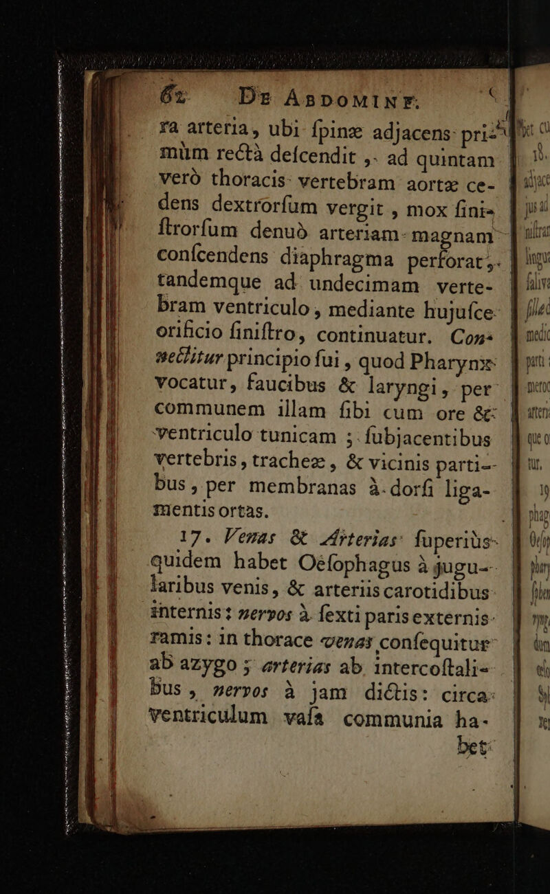 67 De ABDOMINFY. ra arteria, ubi fpinz adjacens: priz^ müm rectà defcendit ,. ad quintam veró thoracis: vertebram aortz ce- 4 dens dextrorfum vergit , mox finis. | J/? ftrorfum denuó arteriam- magnam | ulia confcendens diaphragma eb | tandemque ad undecimam verte- | » bram ventriculo , mediante hujufce- | //« orificio finiftro, continuatur. Coss | n sethitur principio fui , quod Pharymx: [p vocatur, faucibus &amp; laryngi, per. [ouv communem illam fibi cum ore &amp;:. || uz ventriculo tunicam ;:fubjacentibus Ju vertebris , tracheze , &amp; vicinis parti-- pu. bus, per membranas à.dorfi lga- | 3 fuentis ortas. 2 pn 17. Femas &amp; 2rterias: fuperius: [00 quidem habet Oefophagus à jugu--. jim laribus venis, &amp; arteriiscarotidibus ] fiin internis: zeryos à. fextiparisexternis: || m ramis: 1n thorace xU confequitue | àn ab azygo 5 erterias ab. 1ntercoftali- | e Dus, servo: à jam di&amp;tis: circa. | ventriculum vafa communia ha- |] x bet: pestis — — LG mri orar mee (e vereint atii een Momm igi erint