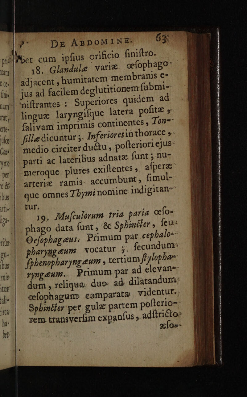 laf] Í fii Con: pet t&amp; |bus ocfophago : pofitz »- fille dicuntur 5. pofteriori ejus: funt 5 nu- afpera fimul- tur. paria cefos Oefophag eus. ryngpeum. PI dum , reliqua. imum ;, fecundum: fL ylophas: videntur. pofterio-: eíos- as dum : D Oe RR e Ei EC orari eee MGE xe ENIIL cui ros MIA nro - —— Ó— M €
