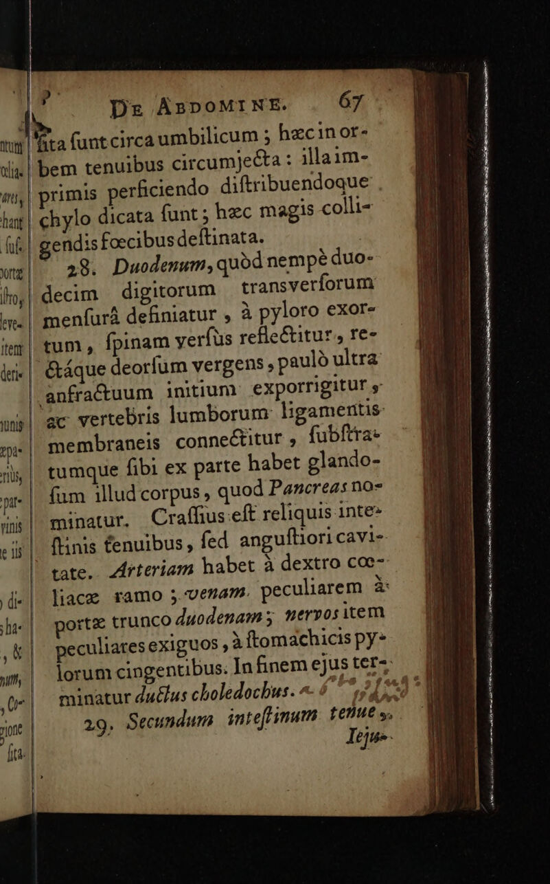 | f Í Dr ABDOMINE. 67 tut Wa funtcirca umbilicum ; h«c inor- i| bem tenuibus circumje&amp;ta : illaim- «i,| primis perficiendo diftribuendoque lat | chylo dicata funt ; hec magis colli- hf gendis foecibusdeftinata wz| . 28. Duodenum, quod nempé duo- Ío,| decim — digitorum transverforum m. | menfurá definiatur , à pyloro exor- itey| tum , fpinam verfus refle&amp;itur, re- im«| &amp;áque deorfum vergens pauló ultra | anfractuum initiun exporrigitur » uwp| 8c vertebris lumborum ligamentis | membraneis conne&amp;titur , fubftra: ii, | tumque fibi ex parte habet glando- fum illud corpus , quod Panereas no» TH x s minatur. Craffhus eft reliquis 1nte* eis |. finis tenuibus, fed anguftiori cavi- | tate. 4irteriam habet à dextro coe- «| liacz ramo j vemam. peculiarem. &amp; ls | porte trunco duodenam s; mervositem ,&amp; peculiares exiguos , à tomachicis py Ies - e - -— as (eU m orca ARE res a c da tn e Al