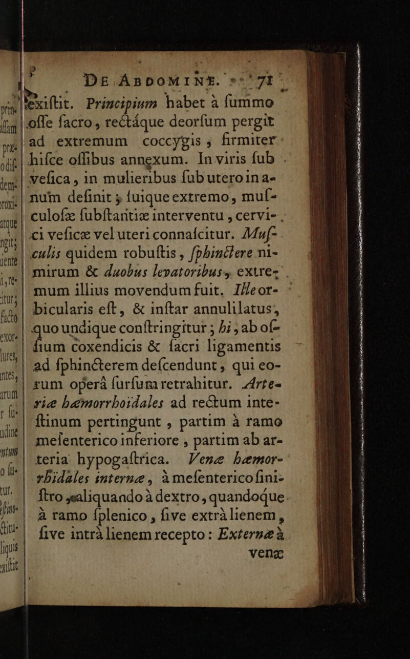 Pp hg | offe facro , rectáque deorfum pergit ya| ad extremum coccygis , firmiter it | hifce offibus annexum. In viris fub | ii| Vefica, in mulieribus fub uteroina- ;| num definit ; fuique extremo, muf- | culofz fubítantiz interventu , cervi- | ci vefice vel uteri connafcitur. Muf- | ulis quidem robuftis , f/pbinclere ni- | mum illius movendumfuit. I/eor- a bicularis eft, &amp; inftar annulilatus;, p^ undique conítringitur ; 5i ; ab of- fium coxendicis &amp; íacri ligamentis ad fphin&amp;terem deícendunt , qui eo- | rum operá furfum retrahitur. zfrre- | tie bamorrboidales ad rectum inte- ;. |. finum pertingunt , partim à ramo YE -  . . . melenterico inferiore , partim ab ar- ntu pm | í teria hypogaítrica. Vene bemor- 1 | vBidales interuz , àmeíentericofini- | ftro aliquando à dextro, quandoque. fin. | à ramo íplenico , five extràlienem, five intrà lienem recepto : Exter»zà vens po me