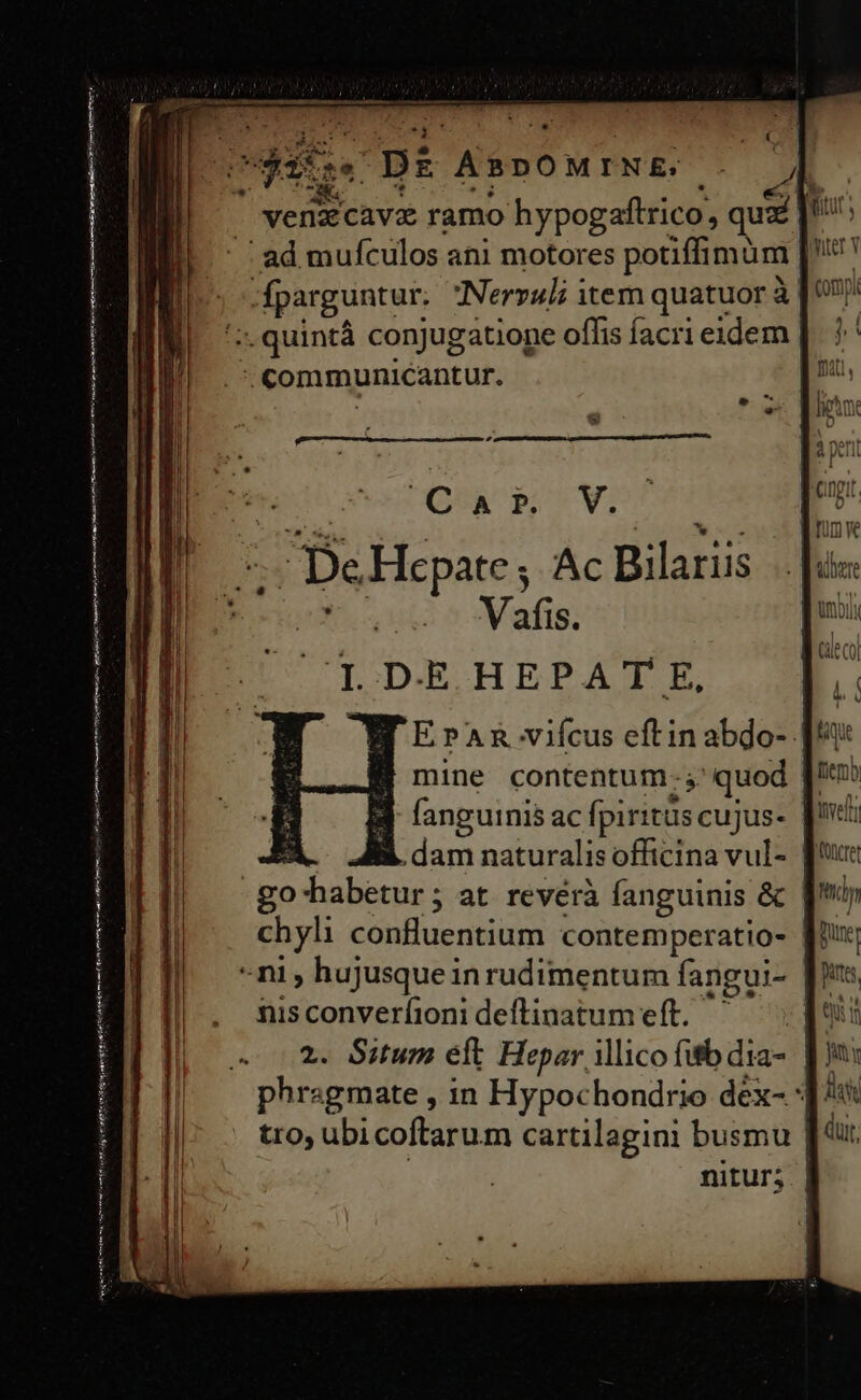 COR Tee met mH ats tcm se EAD — GÀ : Dos IM uis ABDOMINE. | ' venzcav ramo hypogaftrico, usd [rts | ad mufculos ani motores potiffi müm [ner v fparguntur; Nerzuli item quatuor à! ';. quintá conjugatione oflis facri eidem | : communicantur. e 7 ei MHCOUR pA ICI De Micpares Ac Bilariis M. Vafis. LDE HEPA T E, ErPAR.viícus eftin abdo-: mine contentum: ;' quod [iv fanguinis ac (piritils cujus. [c E .dam naturalis officina vul- | go habetur; at revérà fanguinis &amp; chyli confluentium contemperatio- ni, hujusque in rudimentum fangui- | nis converfioni deftinatum eft. t 2. Situm elt Hepar ilico fitb did jut phragmate , in Hypochondrio déx- :] «t tro, ubicoftarum cartilagini busmu | dui, nitur; | n€———— € eb BSTe et ique ro t men Ce
