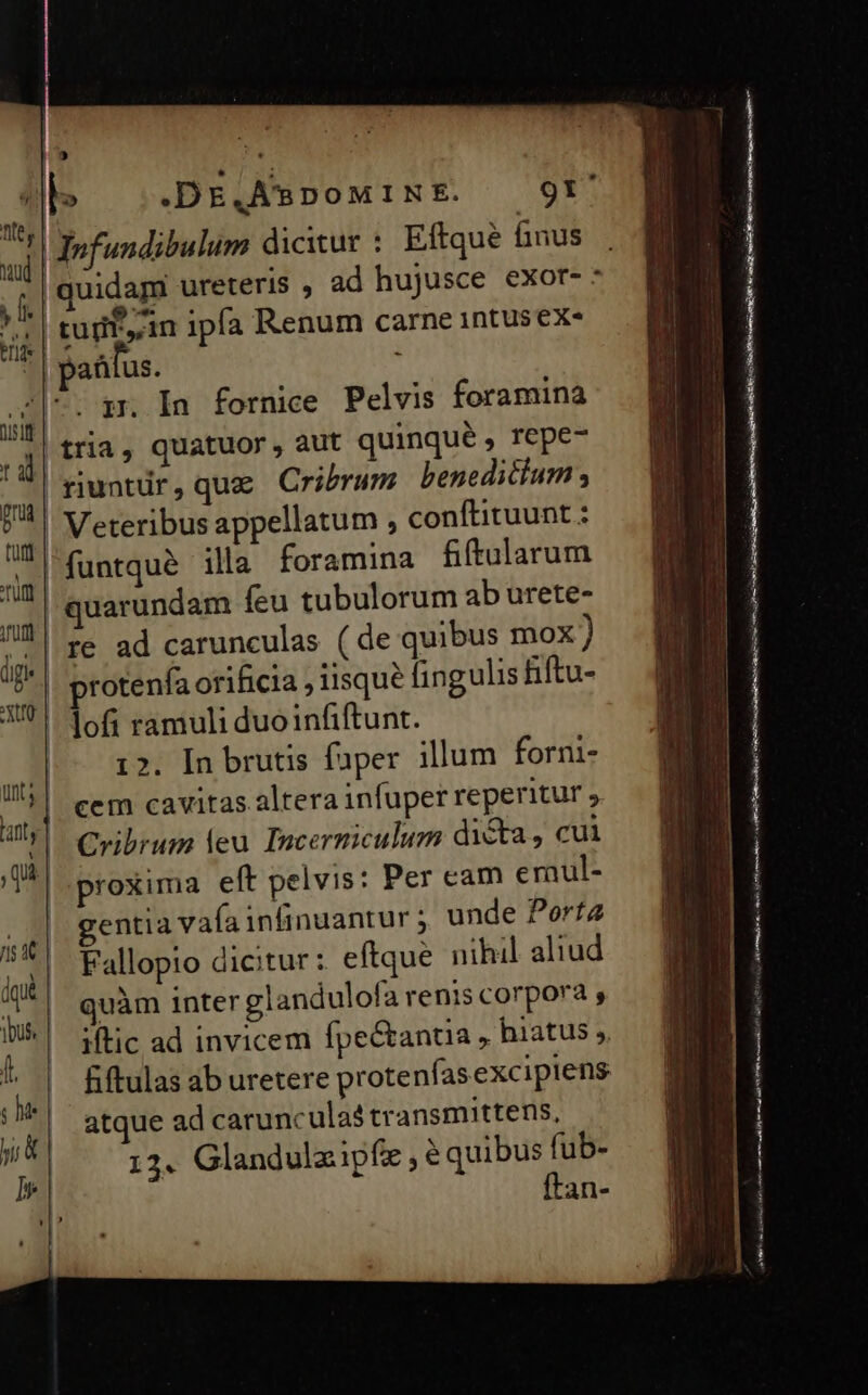TIG y ud | Ü f. 2 niit ta pra | tutt | nim | initi | dig XU. | b Es. ot £2 [1 —- - ? í .DE,A. DOMINE. 9r Tnfundibulum dicitur : Eftqué finus quidam ureteris , ad hujusce exor-. tüdt, in ipfa Renum carne 1ntus ex« patus. i In fornice Pelvis foramina tria, quatuor, aut quinqué ; YOpC^ € Veteribus appellatum , conítituunt : re ad carunculas (de quibus mox) protenfa orificia , iisque fingulis fiftu- lofi ramuli duoinfiftunt. 12. [n brutis faper illum forni- cem cavitas altera infuper reperitur ; Cribrum leu Incerniculum dicta, cul proxima eft pelvis: Per cam emul- gentia vafa infinuantur ; unde Porta Fallopio dicitur: eftque nihil aliud quàm inter glandulofa renis corpora , iftic ad invicem fpe&amp;anua , hiatus » atque ad carunculas transmittens, 13. Glandulzipfz,e quibus fub- ftan- mm K IX REO pEX-- Ema mc er iiem m SEDE Em — —— M - ———— o ease Mg impu mo mt i LA) cat i S set aha Edd
