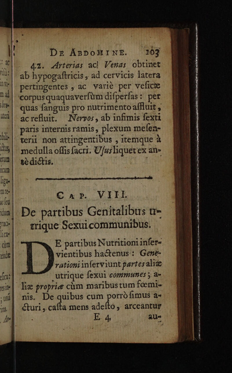 Dr ÁnpoMrINE. 103 &amp;2. 4rterias acl Venas obtinet ab hypogaftricis, ad cervicis latera pertingentes , ac varié per vefice corpusquaquaverfüm difperfas: pet quas fanguis pro nutrimento affluit , acrefluit. Nervos, ab infimis fexti paris internisramis, plexum meíen- terii non attingentibus , itemque à | medulla offis facri. Ufusliquet'ex ane | sédictis. | ton ———————————————— C^xr. VIIL De partibus Genitalibus u- trique Sexuicommunibus. E partibus Nutritioni infet« vientibus ha&amp;tenus:: Gezeé- rationi Ànferviunt partes aliz utrique fexul communes y a- liz proprie cum maribus tum foemi- nis. De quibus cum porró fimus à- éturi pen mens adeíto ,. arceantur m-———————————— P