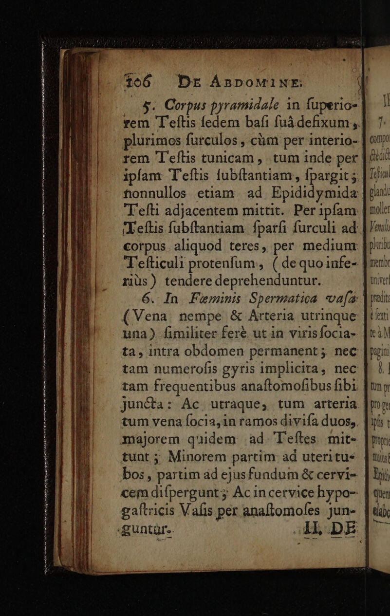 — M— Neqoe od air ied ec 1066 Dr ÁnDoMINE l (8. Corpus pyramidale 1n fuperio- vem 'T'eftis fedem bafi fuà defixum ,. plurimos furculos , cm per interio- rem 'T'eflis tunicam ,. tum inde per ipfam T'efüs fubítantiam, fpargit 5.| tonnullos etiam. ad. Epididymida Tefti adjacentem mittit. Per ipfam: Eeítis fubítantiam. fparfi furculi ad: corpus. aliquod teres, per mediunr T'efticuli protenfum, ( dequoinfe- rius) tendere deprehenduntur. 6. In Furminis Spermatica «vafa | (Vena. nempe &amp; Arteria utrinque [: una) fimiliter fere ut in virisfocia- ta, intra obdomen permanent; nec tam numerofis gyris implicita, nec tam frequentibus anaftomofibus fibi juncta: Ac. utraque, tum arteria cem difpergunt; Ac incervice hypo- | gaítricis Vafis per anaftomoles jun- |