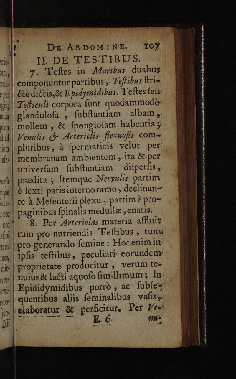 trio» p mát vila (Cla terit 107 Il. DE TESTIBUS. 7. 'Teftes in Maribus duabus: componuntur partibus , Tef ibus ftri &amp;&amp; dictis,&amp; Epidymidibus. 'Teftes feu: Tefliculi corpora funt quodammodà landulofa , fubftantiam — albam ,. mollem , &amp; fpongiofam habentia; Venulis: &amp;- Arteriolis: fexuofis com^ pluribus, à fpermaticis velut. per membranam ambientem ,.ita &amp; per prodita ;. Itemque Neryulis partim é fexti patisinternoramo declinane paginibus fpinalis medullae ,enatis; 9. Ber Zrteriolas materia affluit tum pro nutriendis ''eíftibus , tum pro generando femine : Hoc enim in: E. 6 n — A eia EU Ca s ici RES 1 demum. ES PESCE cL — nm——— —— m