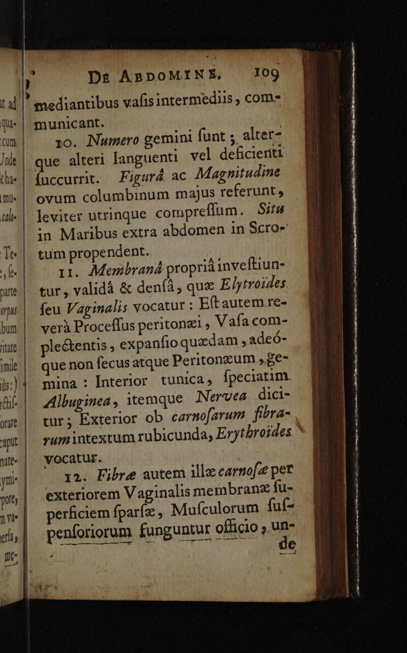 | ing Ds ABDOMINE, 109 TU mediantibus vafis intermediis ; com Q4 | municant. umn| ^ xo. Numero gemini funt ;, alter- hit | que alteri Ianguenti vel deficient dz | fuccurrit. — FigurZ ac Magnitudine m |. ovum columbinum majus referunt, il« | leviter utrinque compreffum. Sirw | in Maribus extra abdomen in Scro- | Te tum prope ndent. n Li Moembrand proprià inveftiun- xt | tur, validá &amp; deníà, quz EJytroides m | feu Vaginalis vocatur : Eft autem re- hm |. verà Proceffus peritonzi , V afa com- t&amp; | ple&amp;entis; expanfio quzdam, adeó- que non fecus atque Peritongeum »Be- mina : Interior tunica, fpeciatim. Gi | aMibuginea, itemque JNervea dici- xu |. tur; Exterior ob caermoJarum fiera- ap rum intextum rubicunda; Erytbroides wt | vocatur. | p] x2. Fibre autem ille carnofz pet S Ond e iet dei v PCI ni caa nita uat A2 LEA LTA MSS c phas ev T , EAE , . adimere apr n———