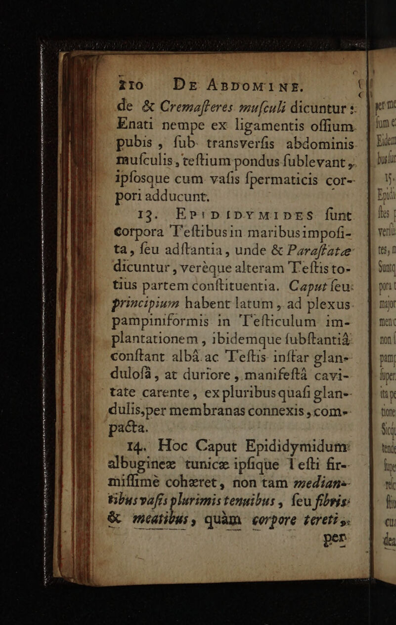 n———'——Á — BP Le saca DEP REUNM P -—- met hmmm ae trm he am On E zr10 Dr AspoMiNE. de & Cremafleres mu[culi dicuntur s Enati nempe ex ligamentis offium pubis, fub. transverfis abdominis rauículis , teftium pondus fublevant , ipfosque cum. vafis fpermaticis cor-- pori adducunt. 13. EP:pipvMIDES funt Corpora 'eftibusin maribusimpofi- ta, feu adítanua , unde & Parzffatze dicuntur , veréque alteram 'T'eftisto- tius partem conítituentia. Caput feu: principium habent latum ,. ad plexus pampiniformis in. T'efficulum. im- plantationem , ibidemque fubftantià conftant. albá.ac T'eftis- inftar glan- duloíà , at duriore , manifeftà cavi- tate carente, expluribusquafi glan-- dulis,per membranas connexis , com-- pacta. I4. Hoc Caput Epididymidum: albuginez tunicze ipfique 1eíti fir- miffime coheret, non tam zzedians- tibus vafrs plurimis tenuibus , feu fibris: & meaibus, quàm «erpore tereti s. Ir