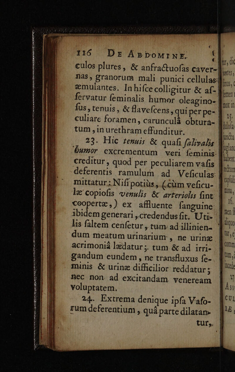veri Cer matta rto aen rei yon Vieni Ma gere 116. Ds ÁBpourNrE. : culos plures, &amp; anfra&amp;uofas caver-]. nas, granorum mali punici cellulas;f: fervatur feminalis humor oleagino- ff. fus, tenuis, &amp; flavefcens, qui per pe- | culiare foramen, carunculá obtura- tum , in urethram effunditur. | 23. Hic femuis &amp; quafi falivalis |] umor excrementum veri Íeminis: creditur , quod per peculiarem vafis deferentis ramulum ad Veficulas: | mittatur . Nifipotiüs, (.cüm veficu- le'copiofis venulis &amp; arterioli fint: | coopertz,) ex affluente fanguine: | ibidem generari ,credendus fit. Uti- lis faltem cenfetur, tum. ad illinien- acrimoniá lzdatur ;. tum &amp; ad | irri- gandum eundem, ne transfluxus fe- minis &amp; urinz difficilior reddatur ; nec non ad excitandam. veneream voluptatem. 24. Extrema denique ipfa Vafo- rum deferentium ,. quà parte dilatan- tut, |