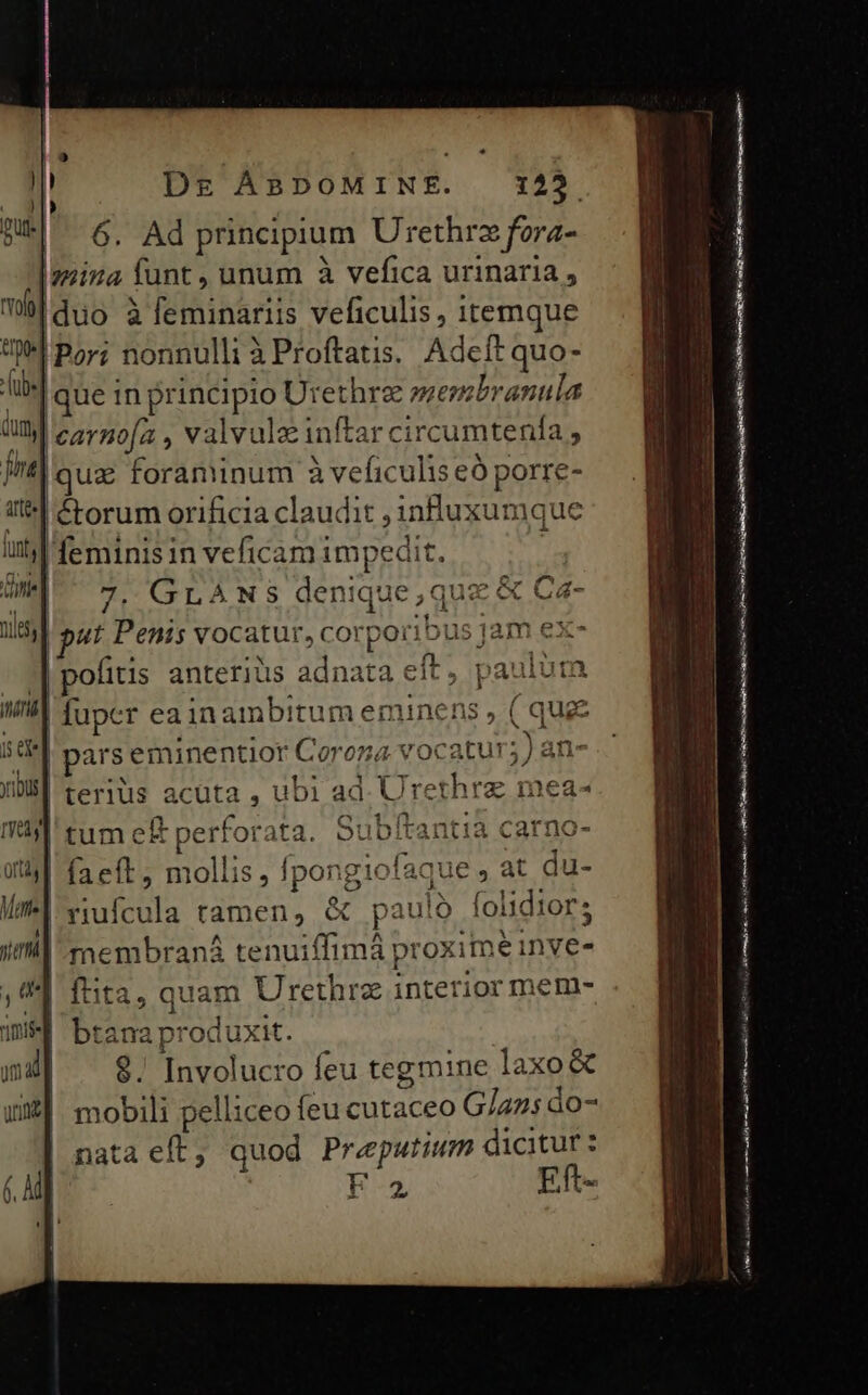 [zziza funt , unum à vefica urinaria , Whiduo à feminariis veficulis, itemque M Por; nonnulli àProftatis. Adeft quo- | que in principio Urethrz sembranula üumy carno[a , valvalzc inftar circumtenía , Itl qua foraminum à veficulis eó porre- il &amp;rorum orificia claudit ;influxumque uti feminis in veficam impedit. | 7. GLANs denique,quz &amp; | put Penis vocatur, corporibus ja | pofitis anteriüs adnata elt, | fuper eainambitum eminens , pars eminentior Corona vocatur; terius acuta , ubi ad. Urethrz me: | tum e perforata. Subftantia carno- faeft, mollis , fpongiofaque , at du- | riufcula ramen, &amp; paulo folidior; |membraná tenuiffimá proxime inve- | quam Urethrz interior mem- ra produxit. 8. Involucro feu tegmine laxo&amp; mobili pelliceo feu cutaceo Glazs do- nata eft, quod Preputum dicitur: F2 Eft- d ARE cm REGEM A es Verna tl ia RAN Are e