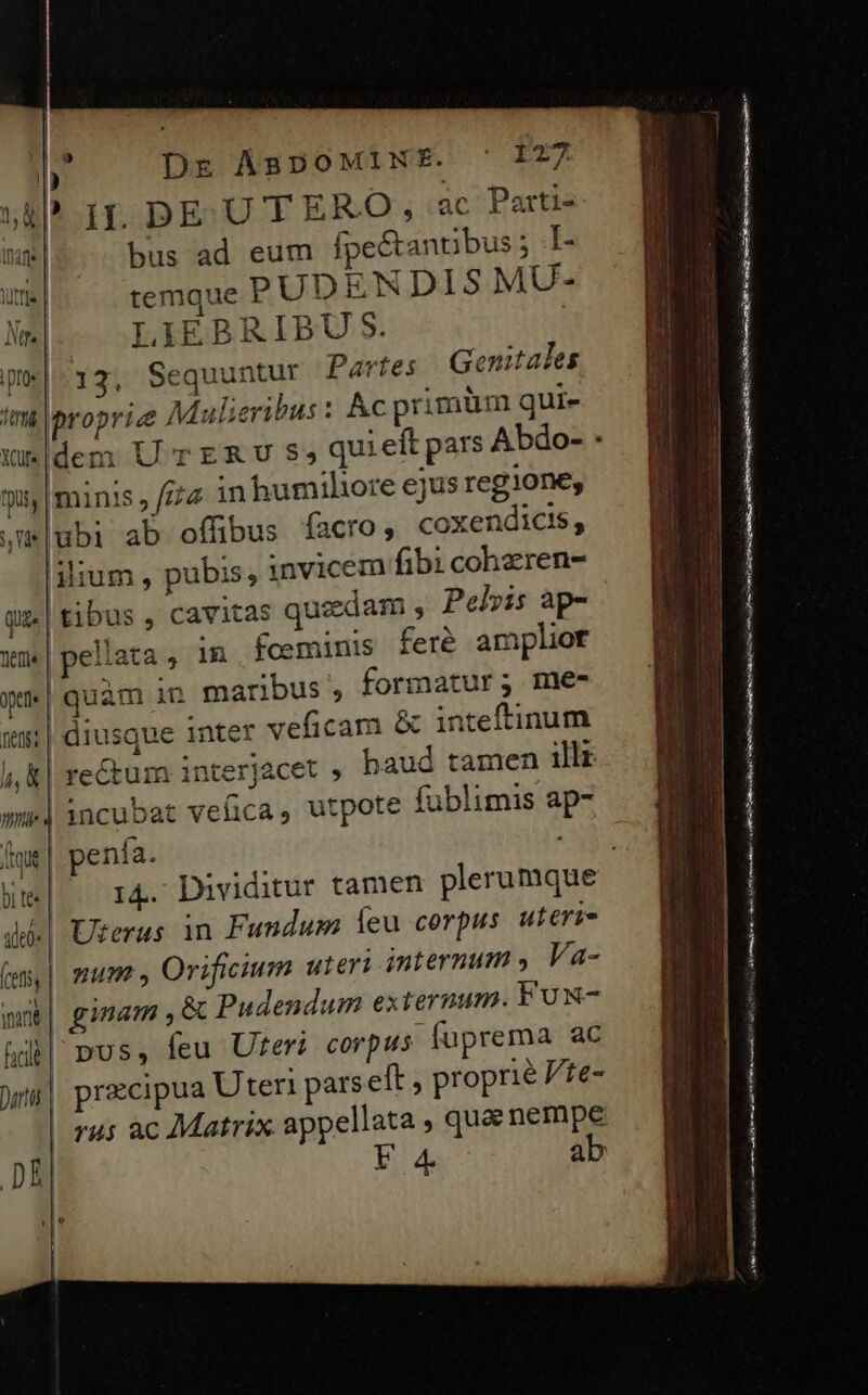 i Dr ÁBDOMINE. | ) 127 5&amp;? If. DE UTERO;,.:ac Parti- Init | bus ad eum fpectantibus ; I- lutis | temque PUDENDIS MU- Nr LIEBRIBU S. pw|-13, Sequuntur Partes Genitales i propric Maulieribus : Ac primüm qui- Qu [minis , fzz in humiliore ejus regione, j|ubi ab offibus facro, coxendicis; lium , pubis, invicem fibi cohzren- qu.| tibus , cavitas qusedam ; Pelvis ap- wm|pellata, in foeminis feré amplior y quàm in maribus, formatur; me- 5: | diusque inter veficam &amp; inteftinum |, &amp;| re&amp;um interjacet » baud tamen illr ww incubat vefica, utpote fublimis ap- fait penía. : d] Uterus in Fundum feu corpus uteri (e | HP s Orificium uteri internum , Va- mub| giam ,&amp; Pudendum externum. Fux hib| pUS, feu Uter: corpus. fuprema ac )ws| praecipua Uteri pars eft , proprie te- DE Lo iAEng o SEC. xu ca tr ER -- a ect Sens NI Qe A 70 75 Rol Rai crue a7 — INA a itti VP «iL um ead RR cis 91 LA pnr